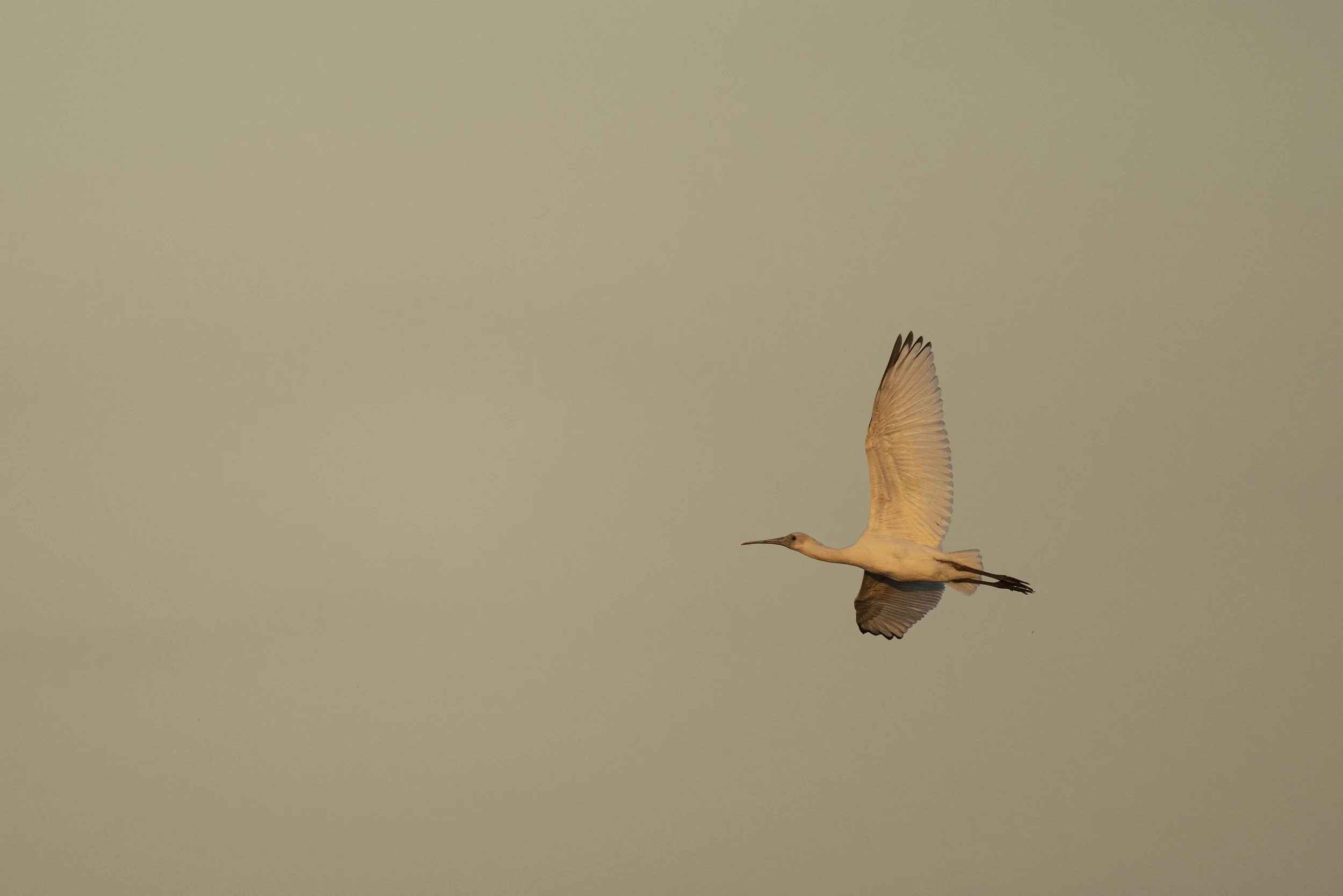 DSC_2881.jpg