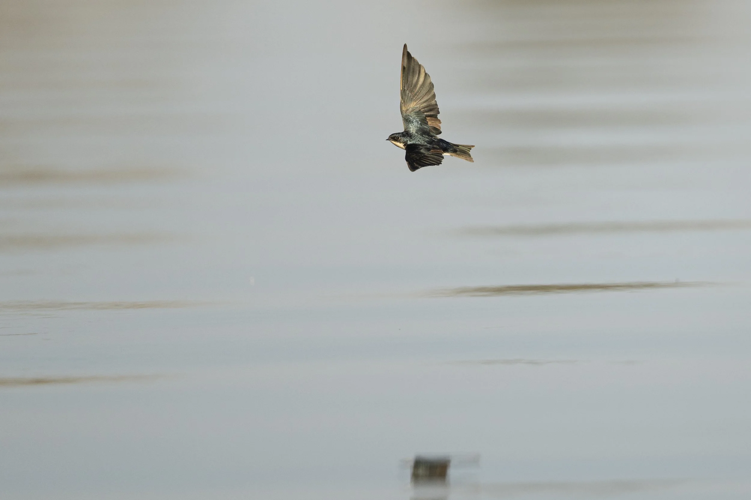DSC_4053.jpg