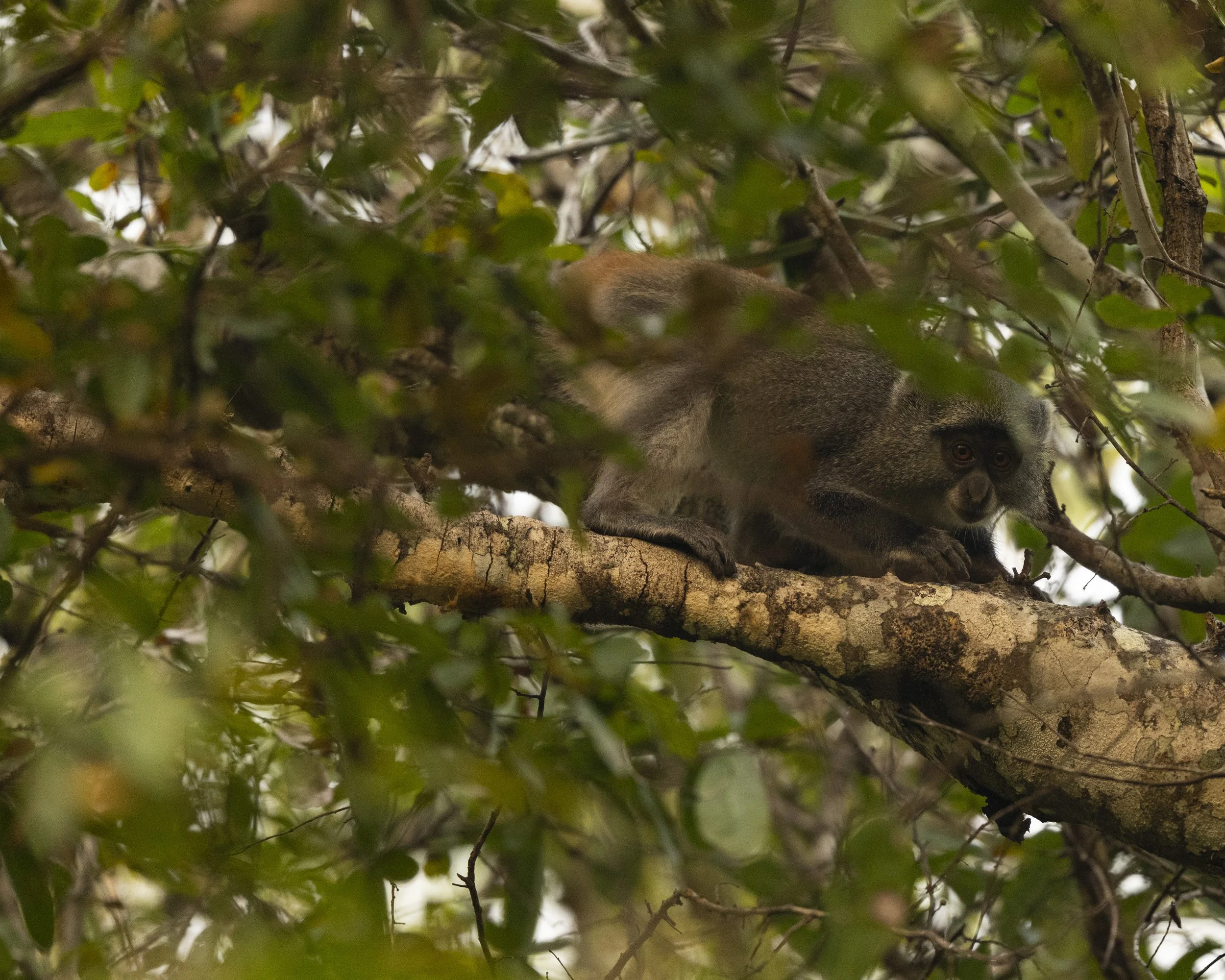 DSC_9662.jpg
