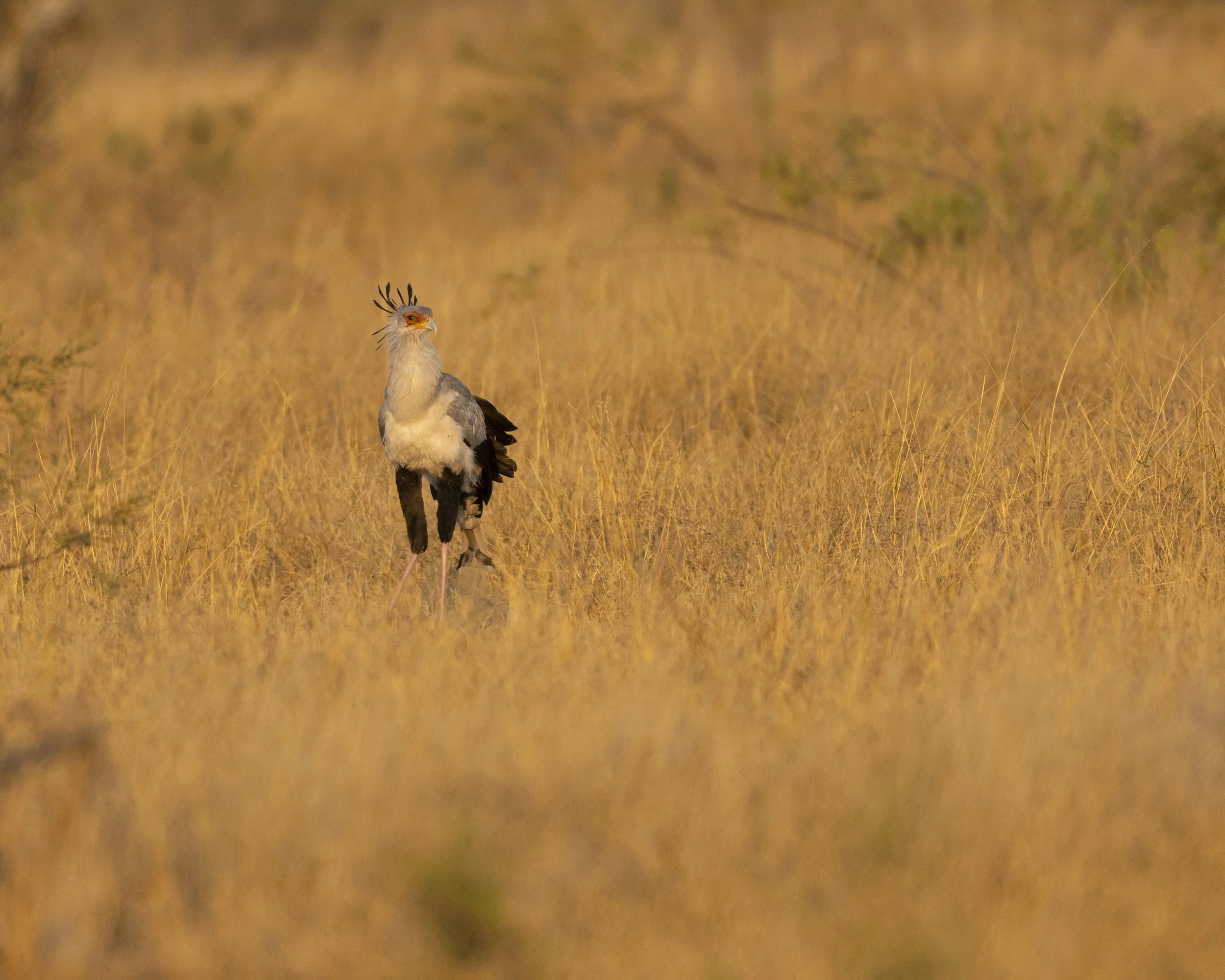 _DSC3839.jpg