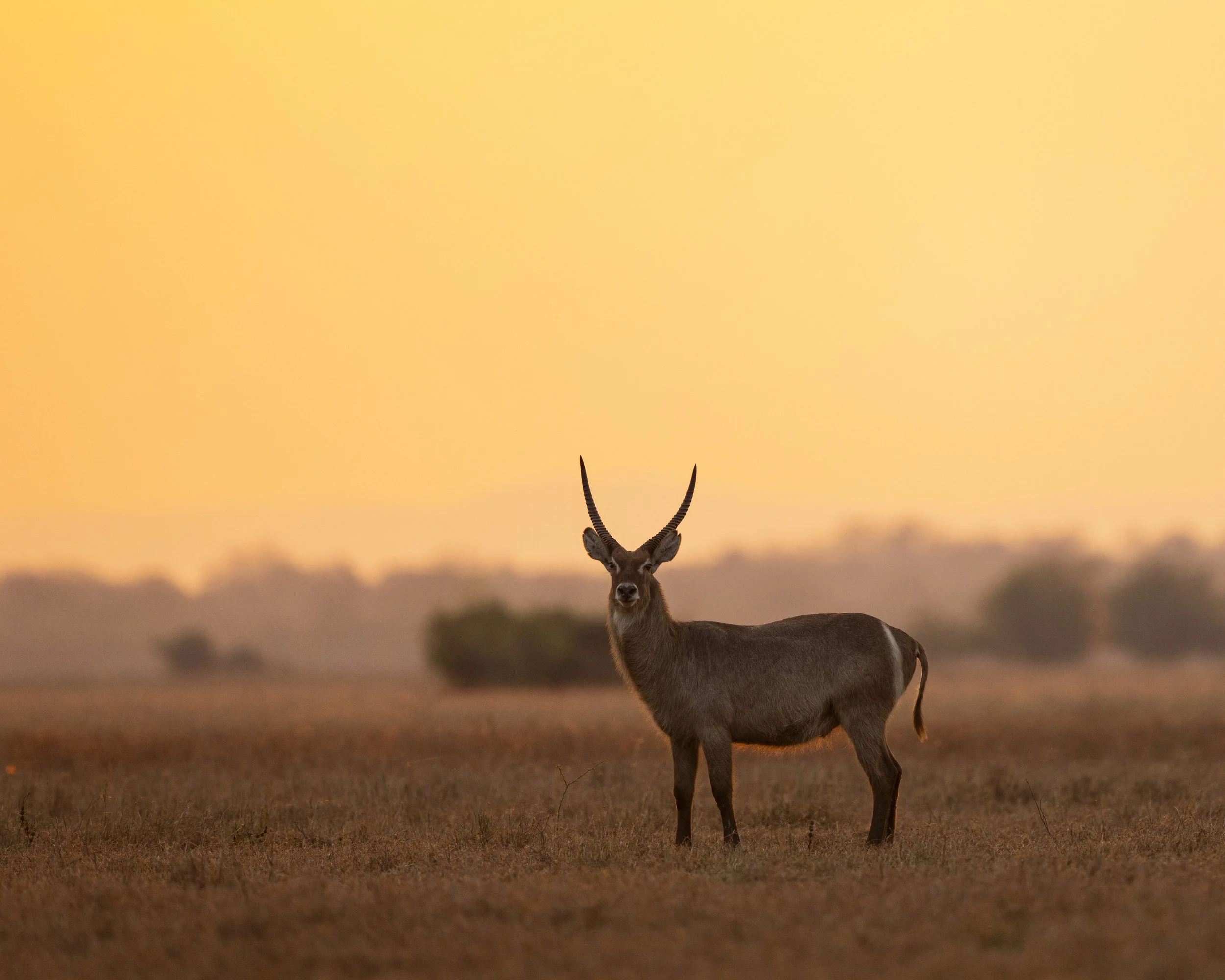 DSC_2561.jpg