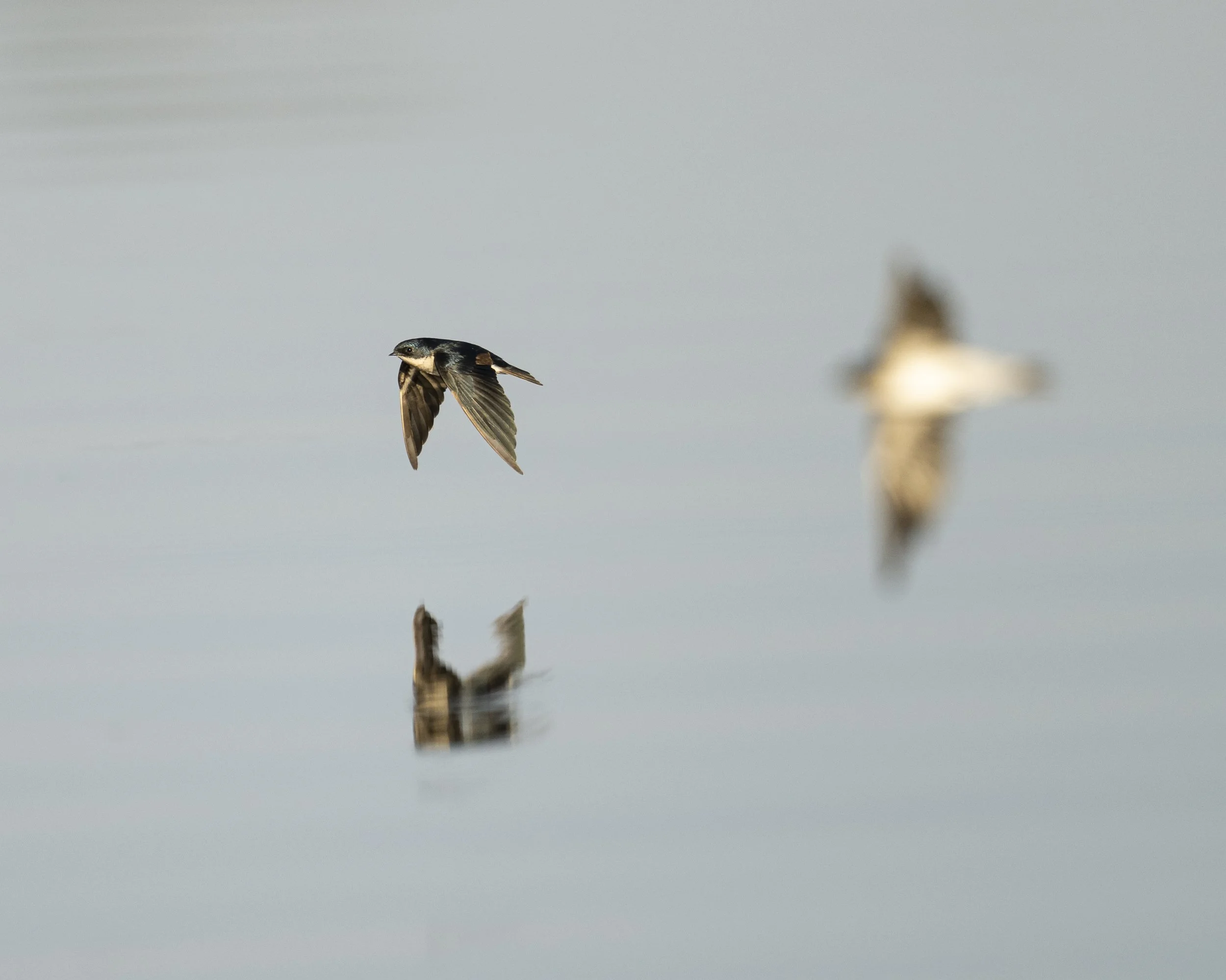 DSC_4044.jpg