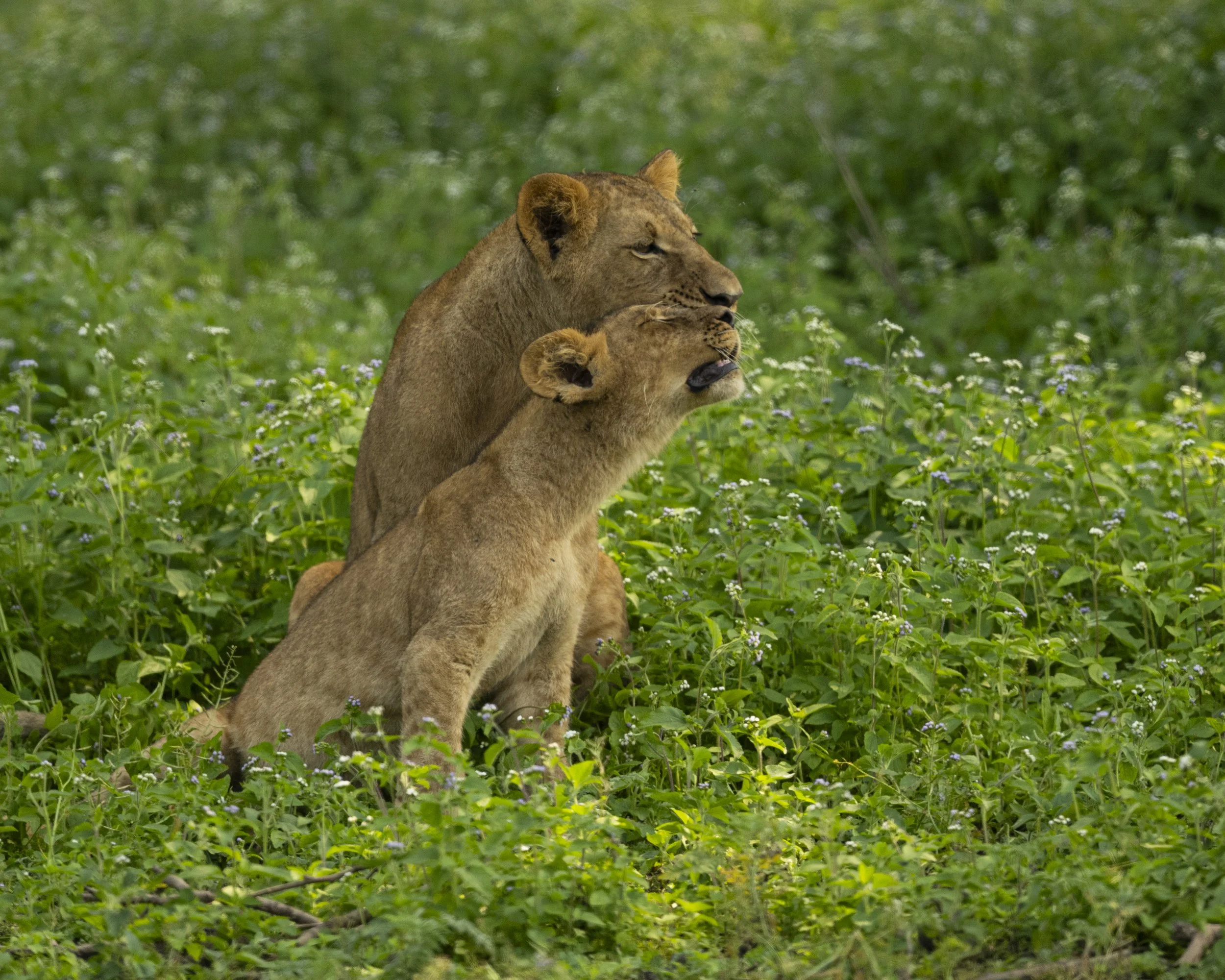 DSC_2164.jpg