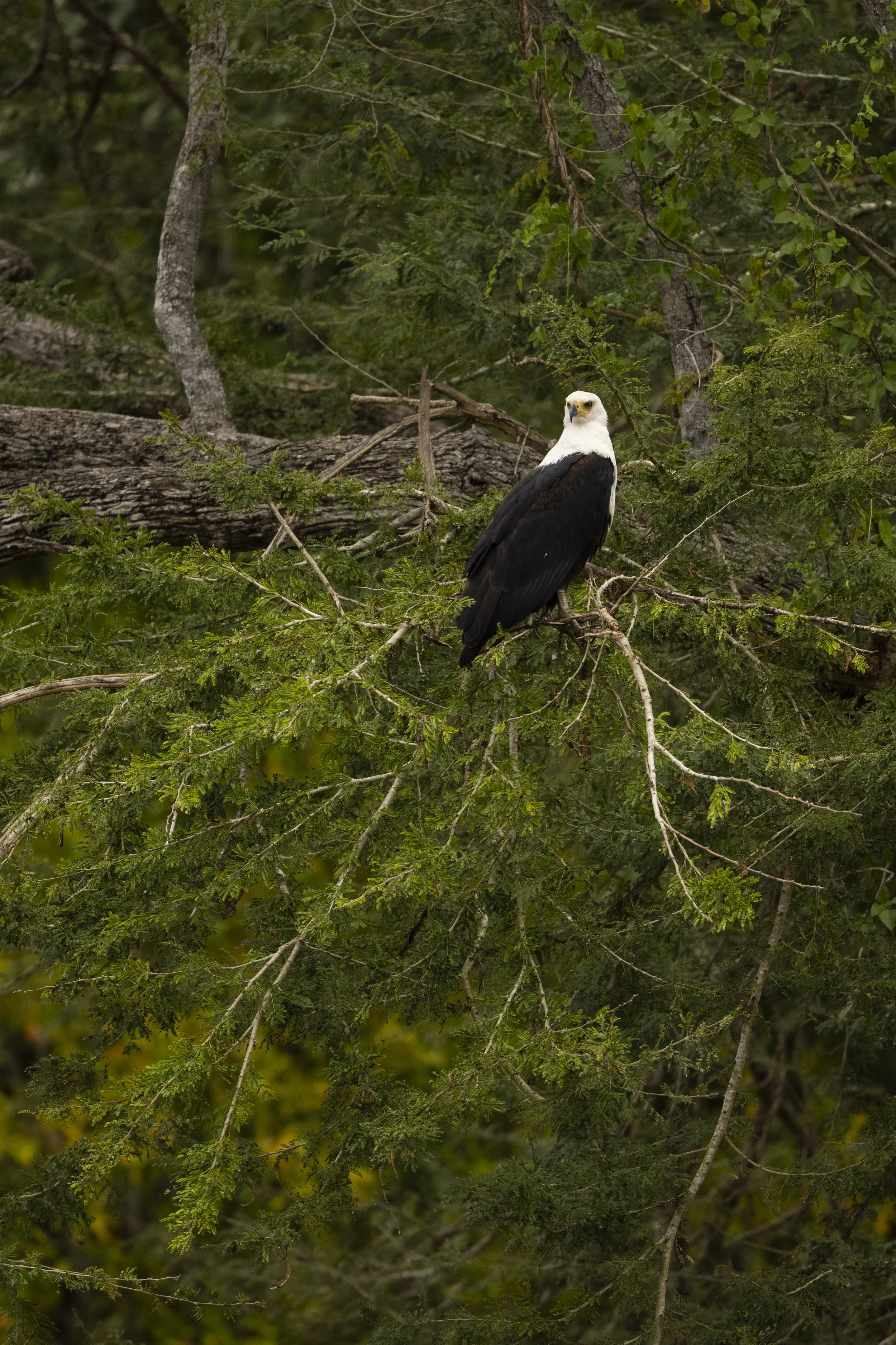 DSC_7834.jpg