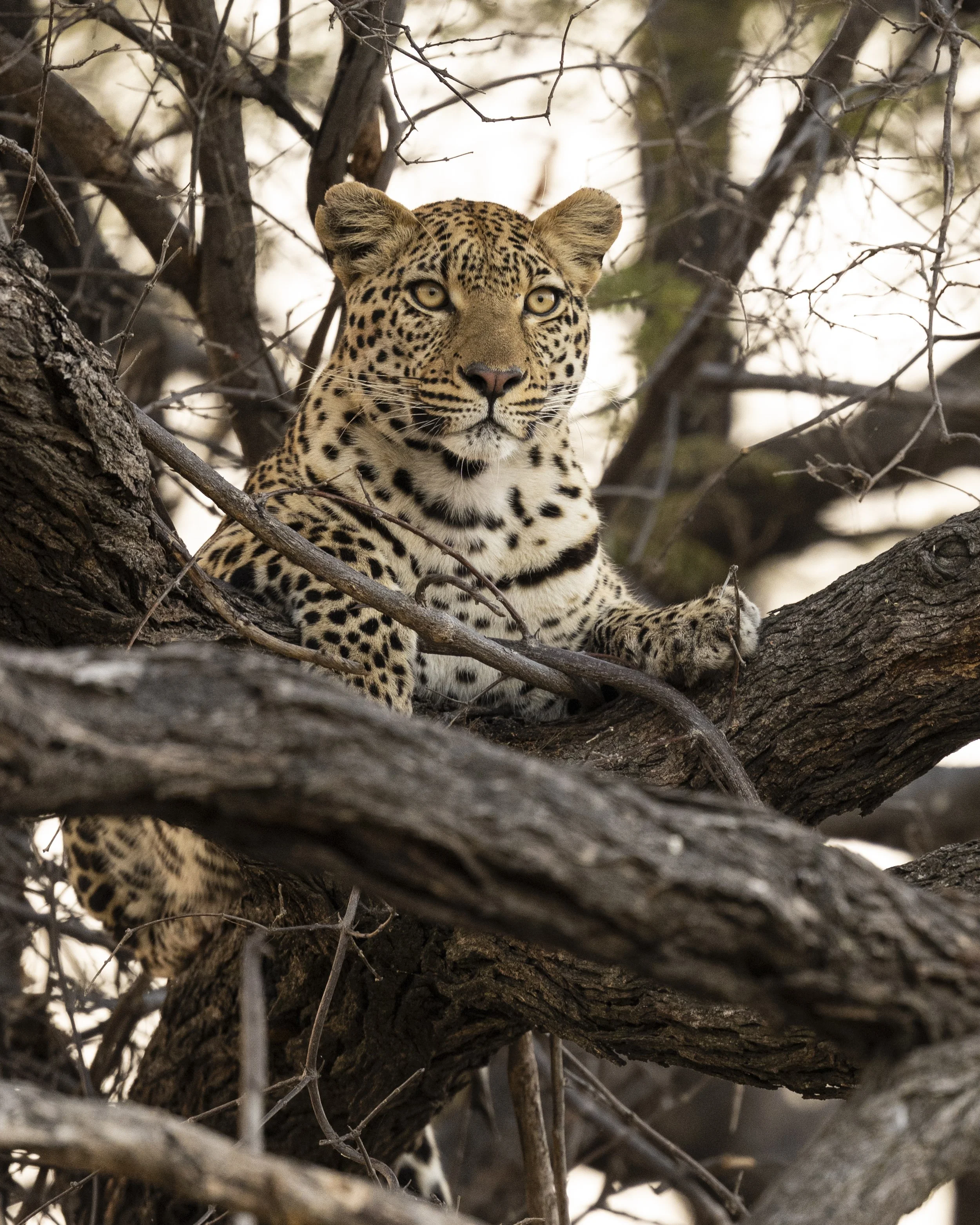 DSC_6562.jpg