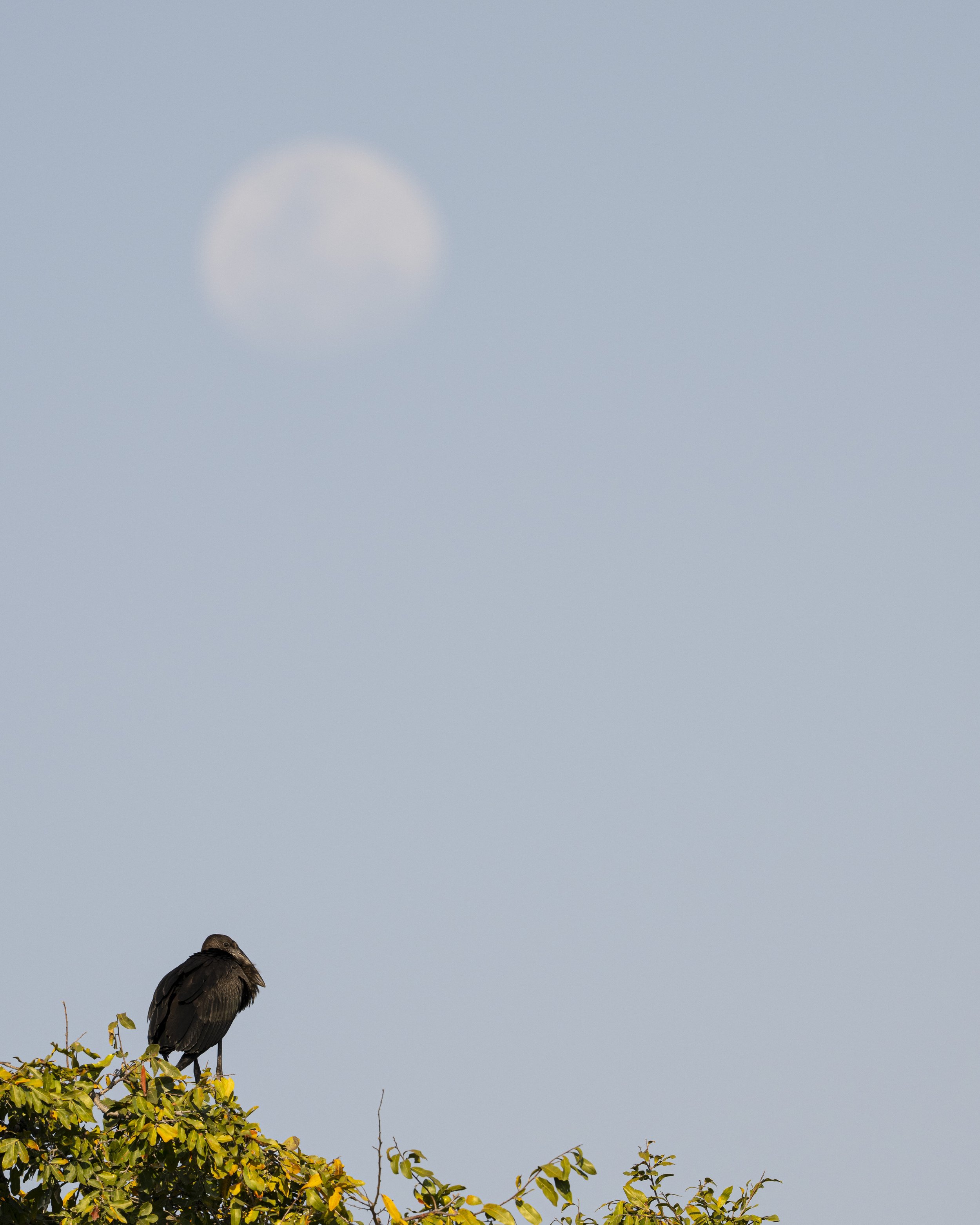 DSC_5733.jpg