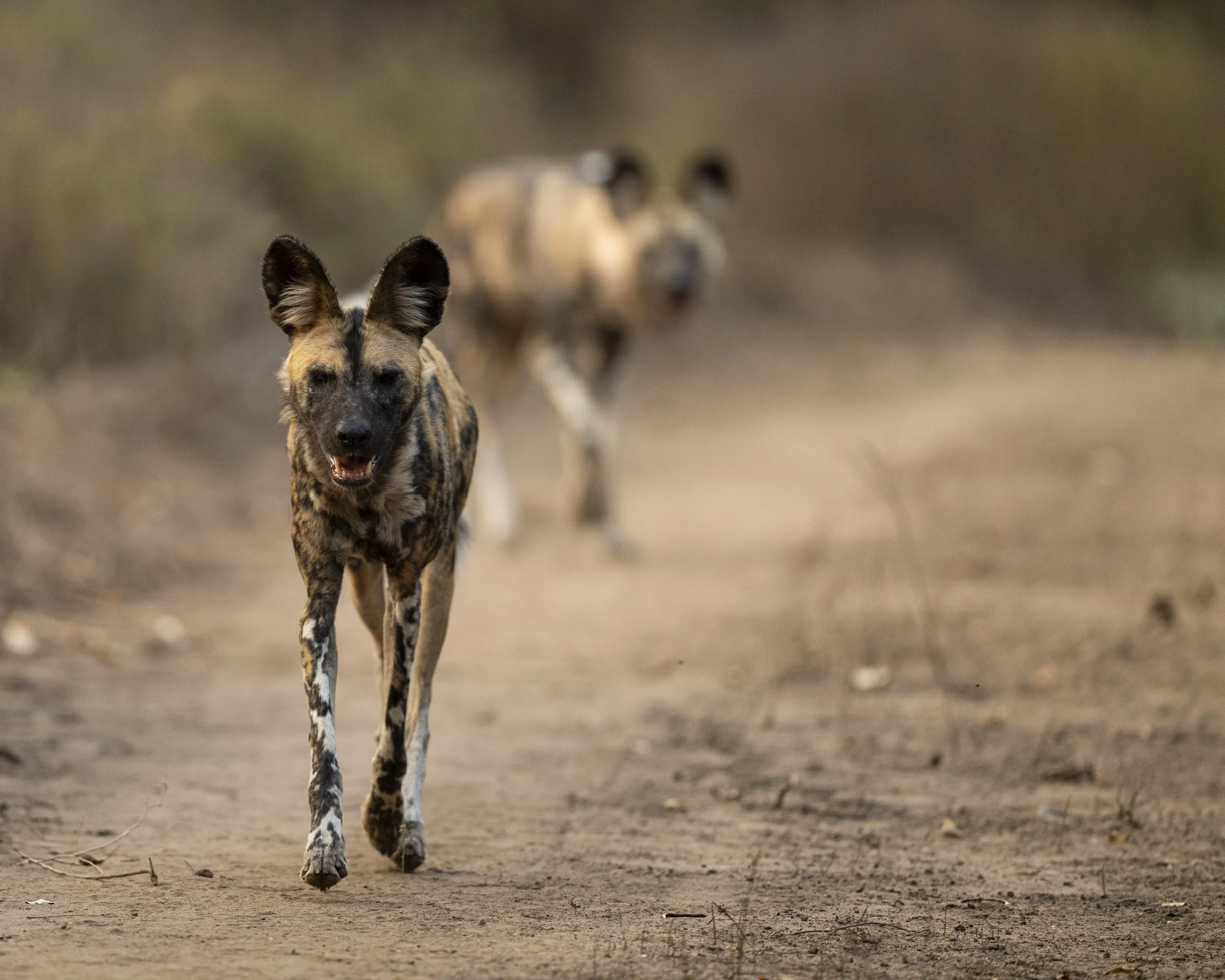 DSC_7889.jpg