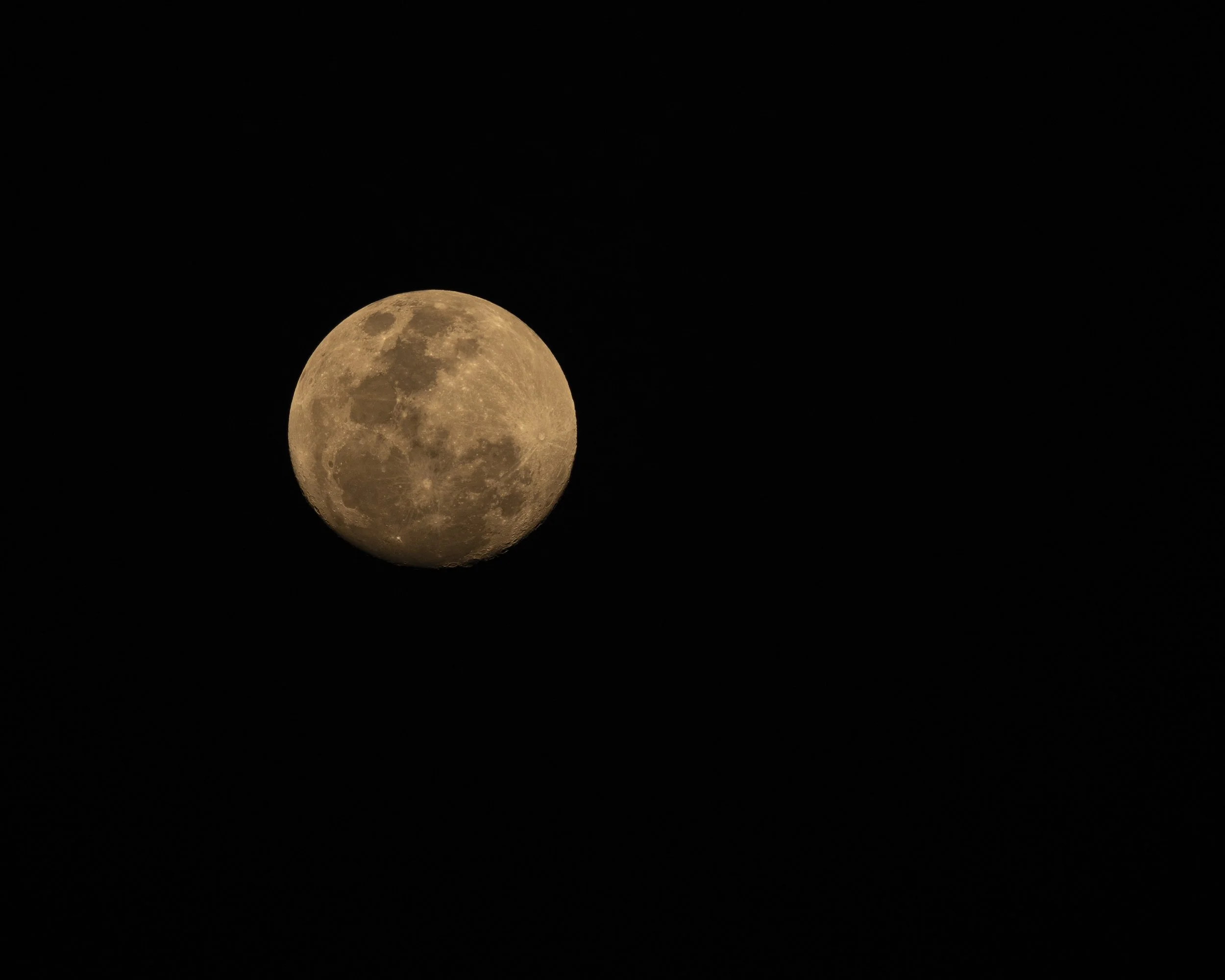 DSC_1008.jpg