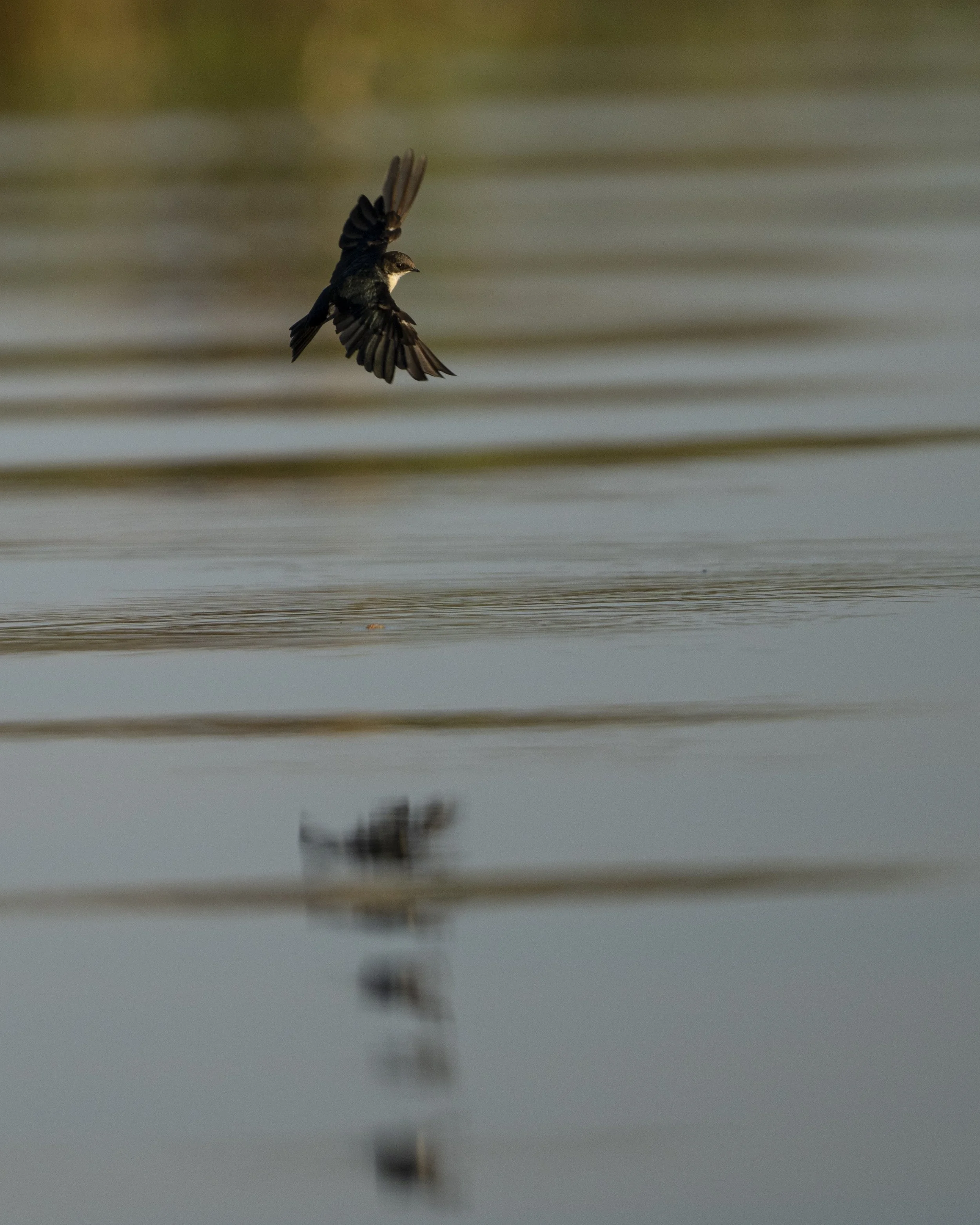 DSC_3436.jpg