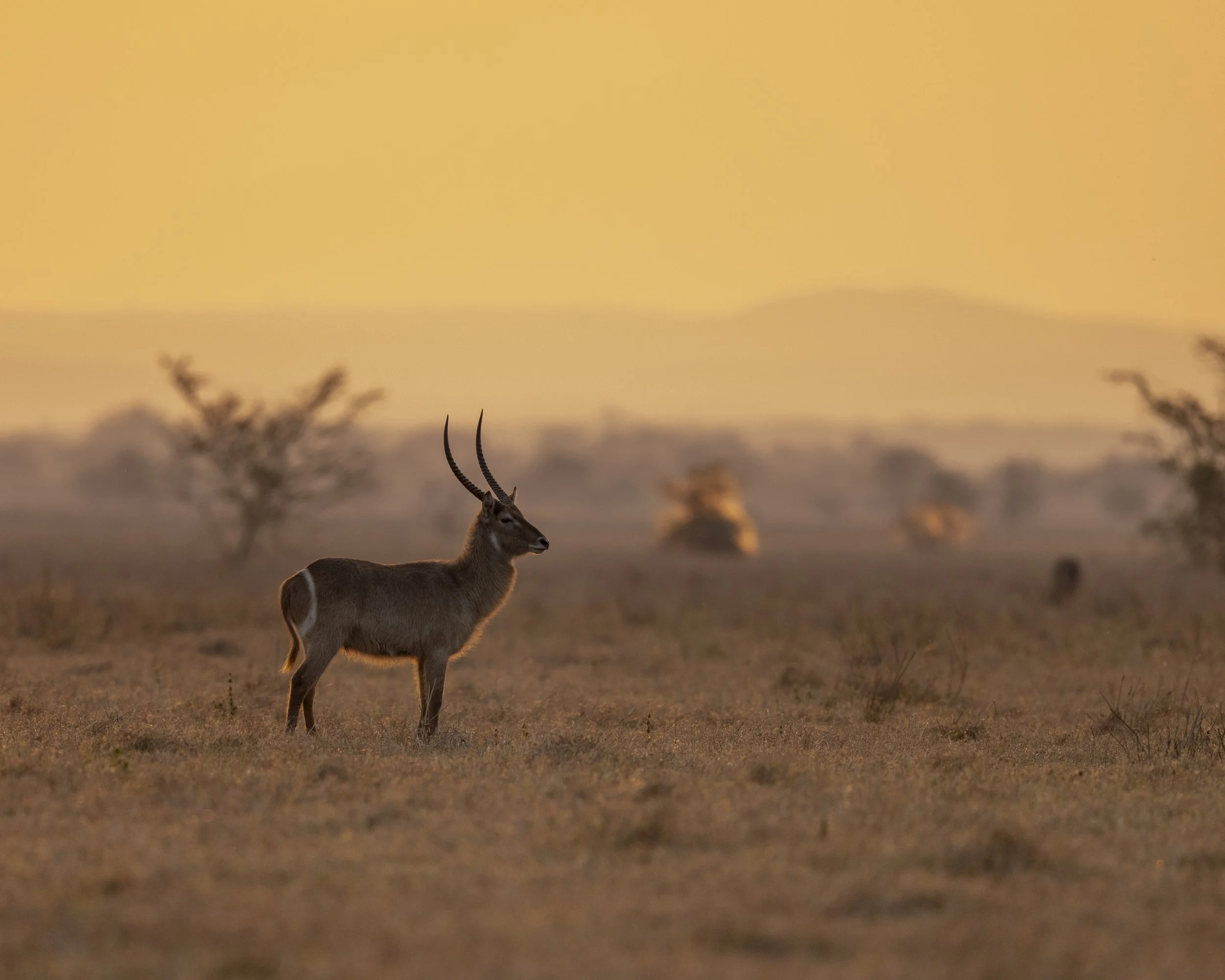 DSC_2457.jpg