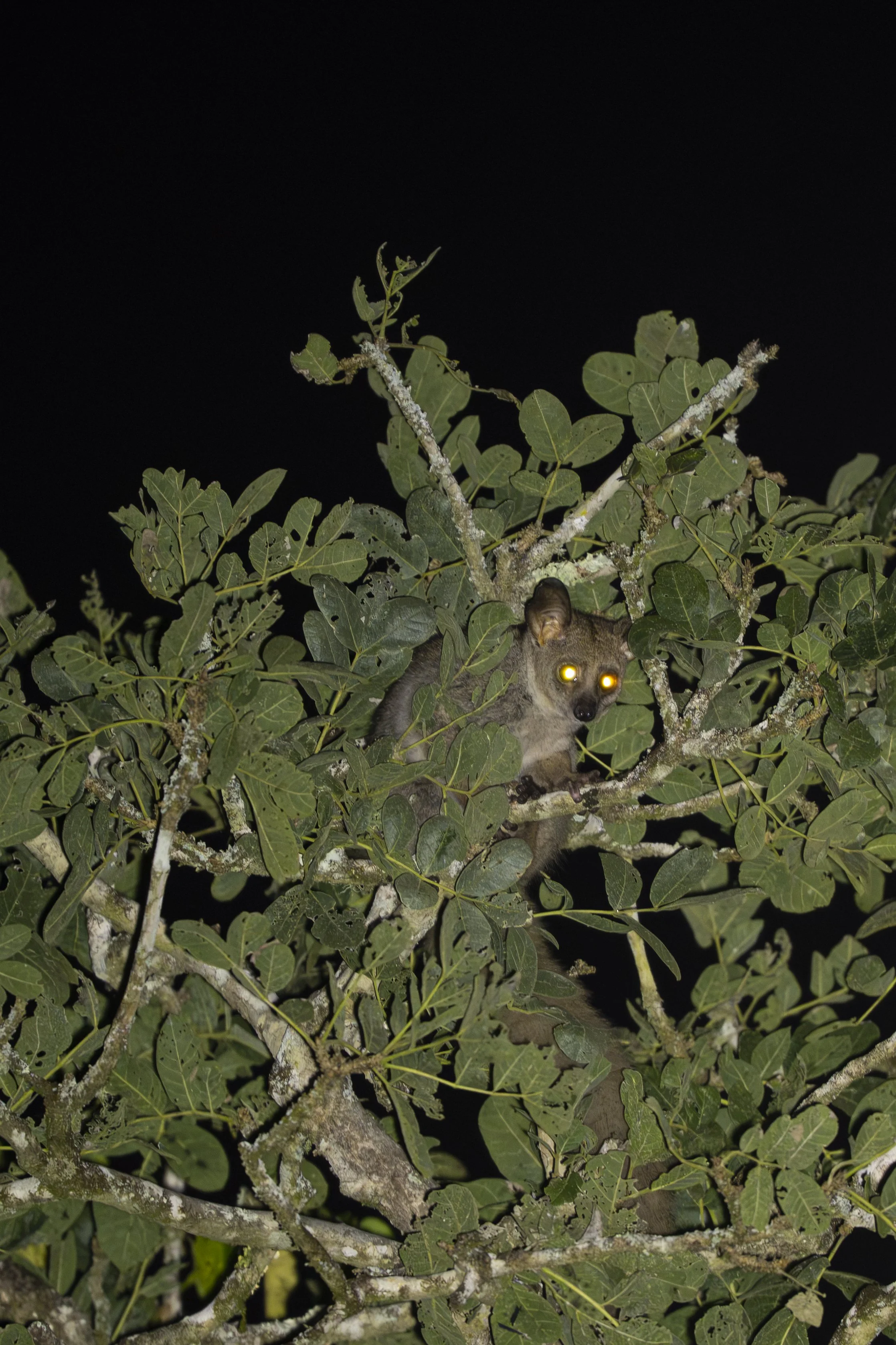DSC_8125.jpg