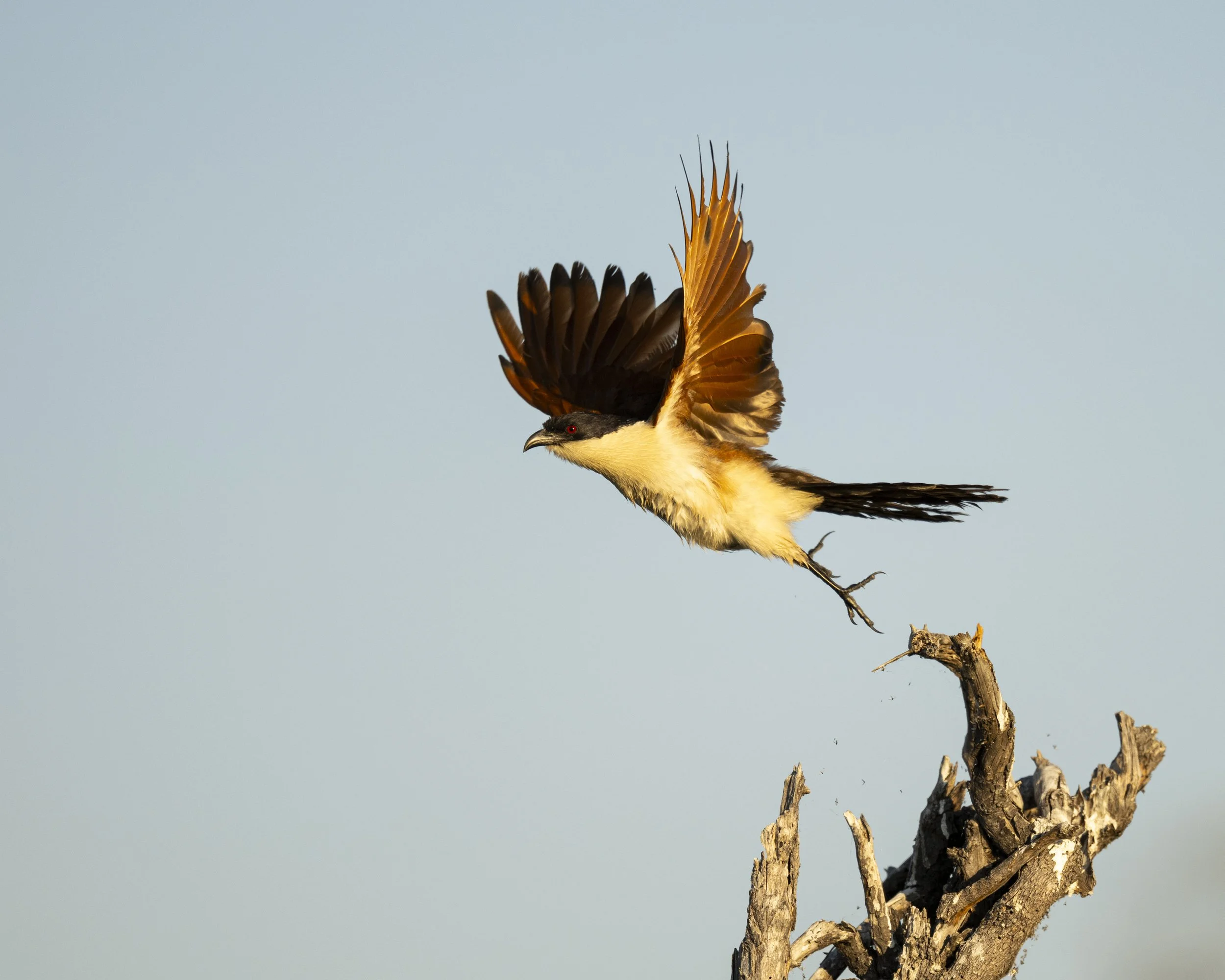 DSC_3052.jpg
