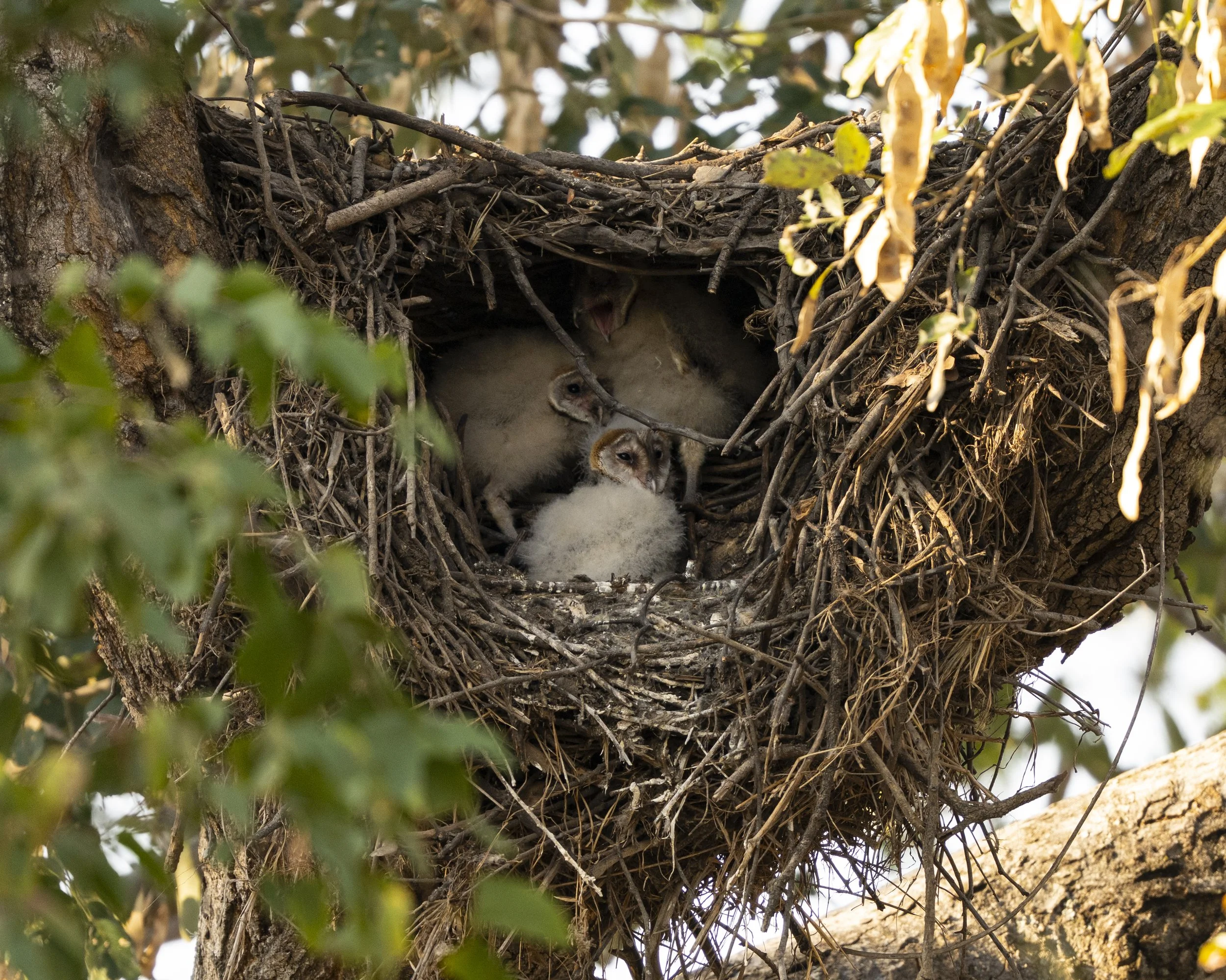 DSC_5835.jpg