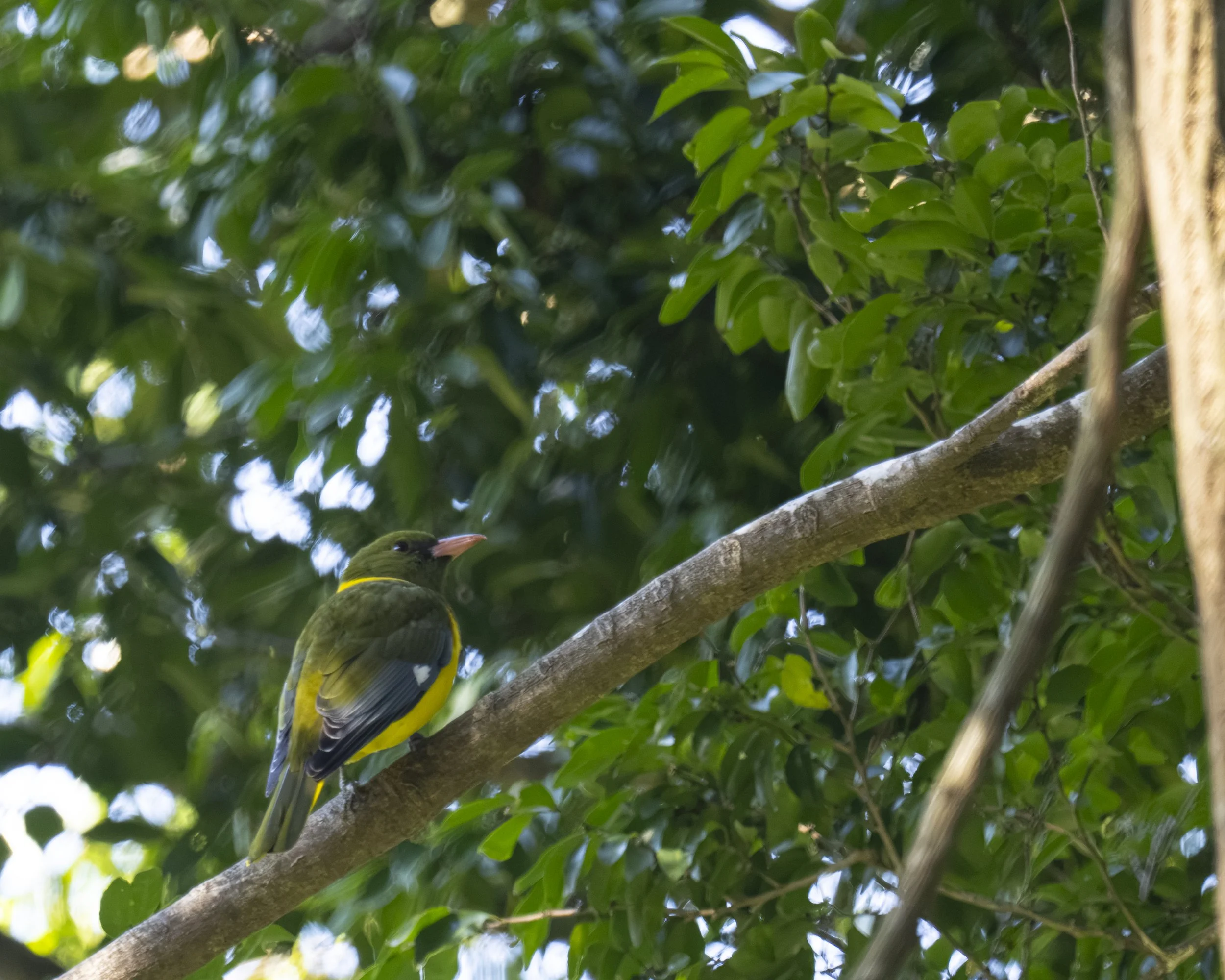 DSC_1492.jpg