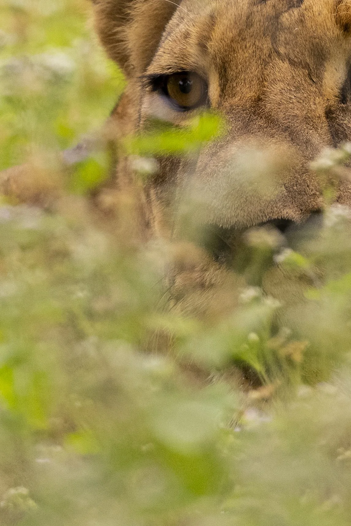 DSC_5352.jpg