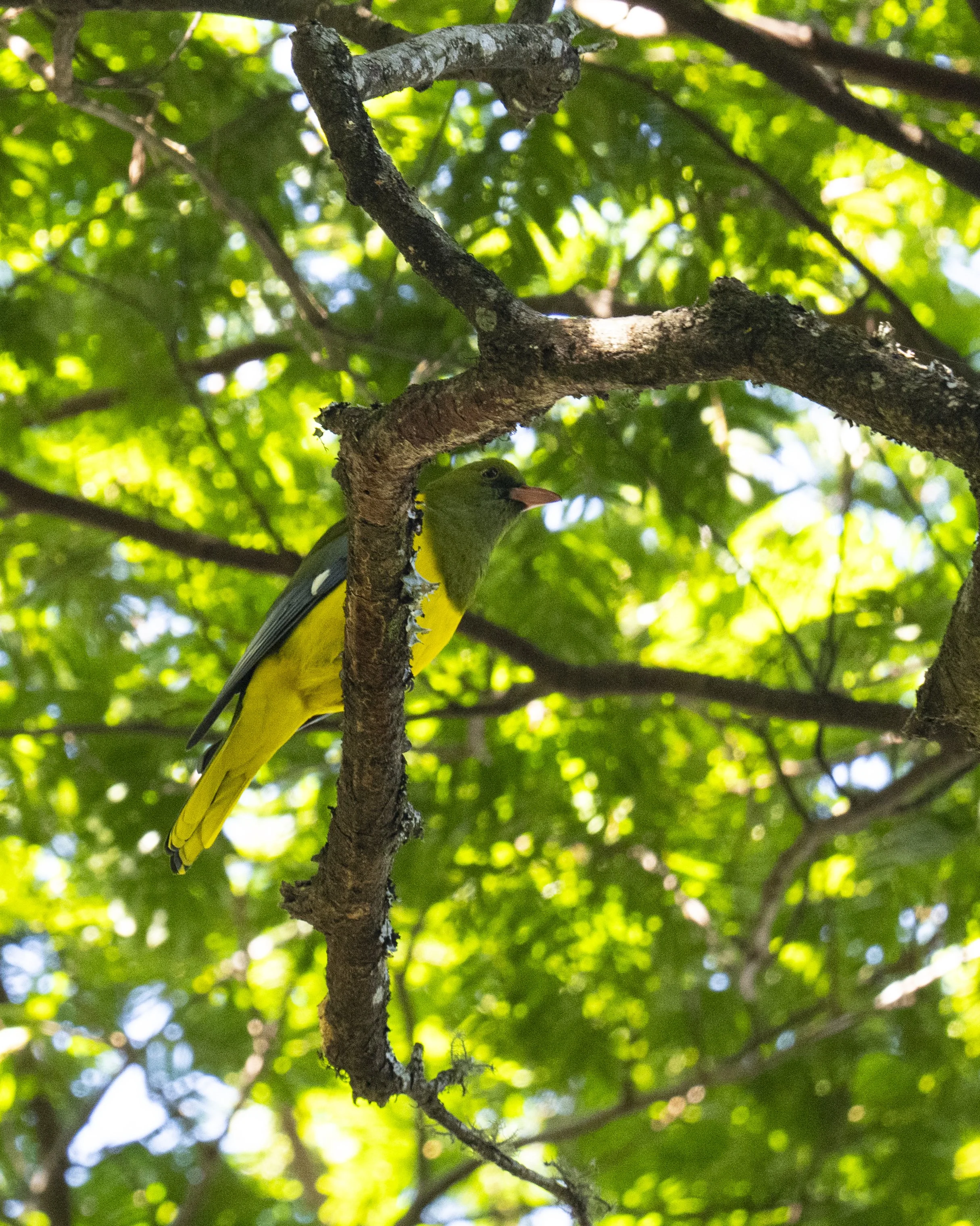 DSC_1213.jpg