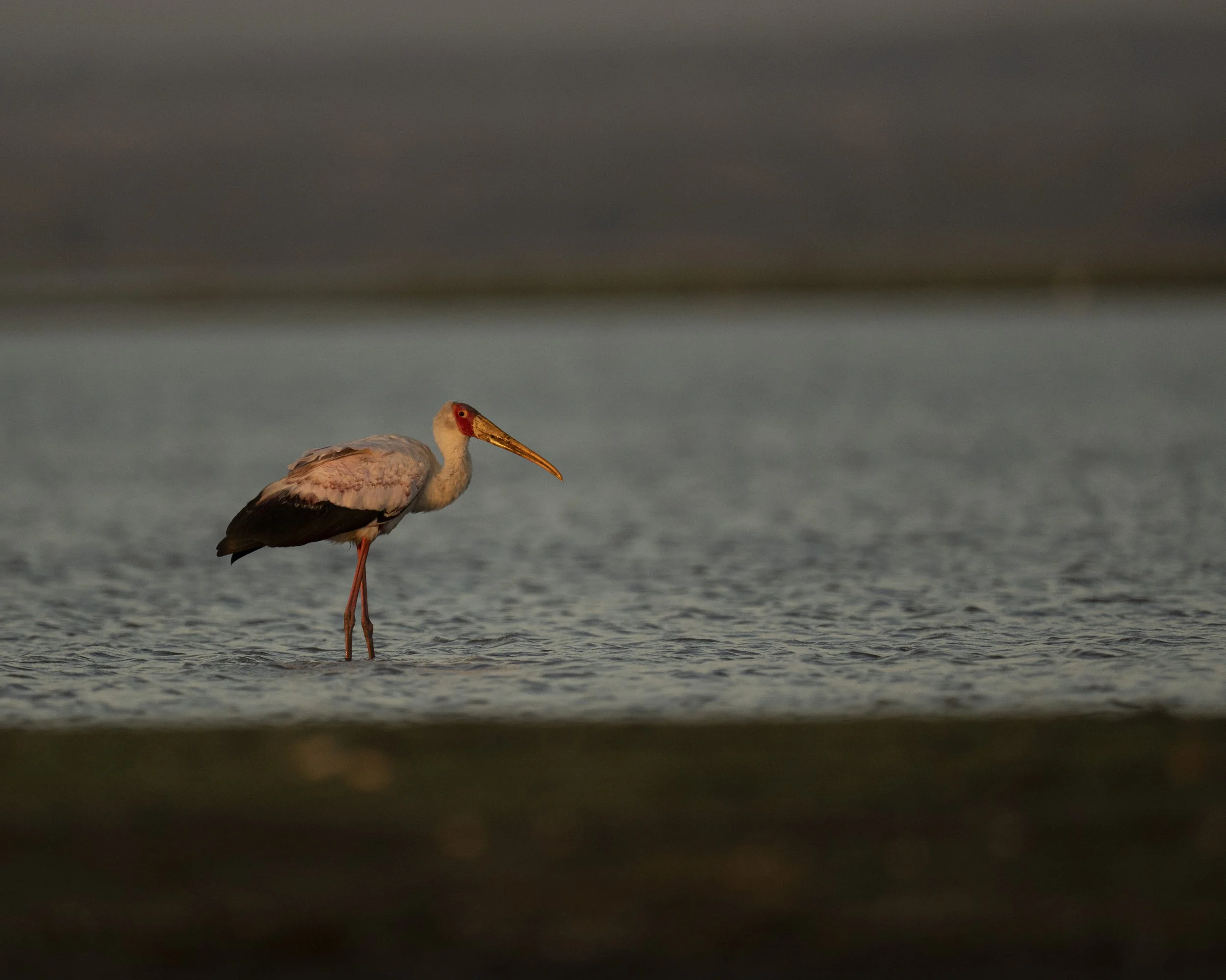 DSC_3146.jpg
