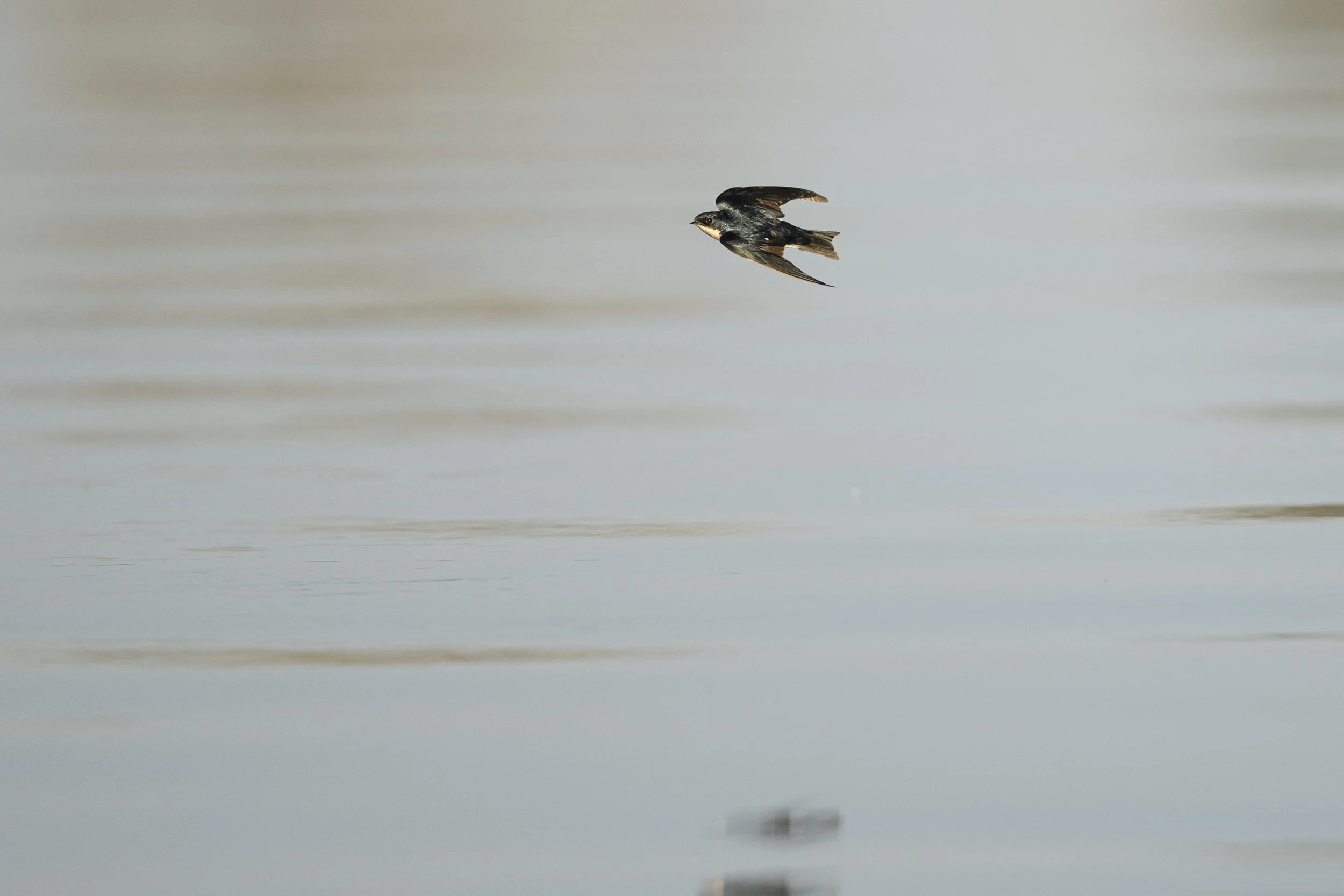 DSC_4054.jpg