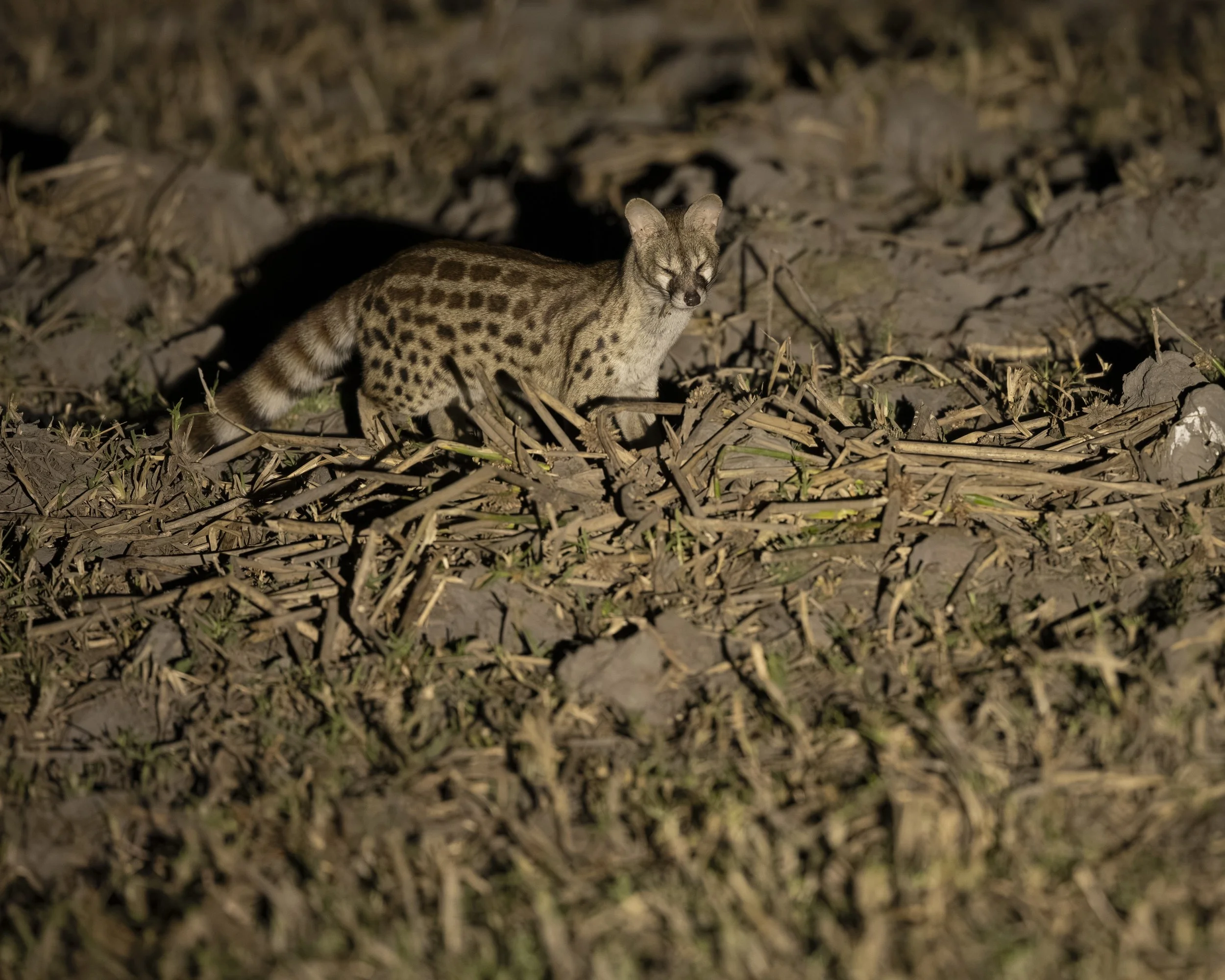 DSC_3955.jpg