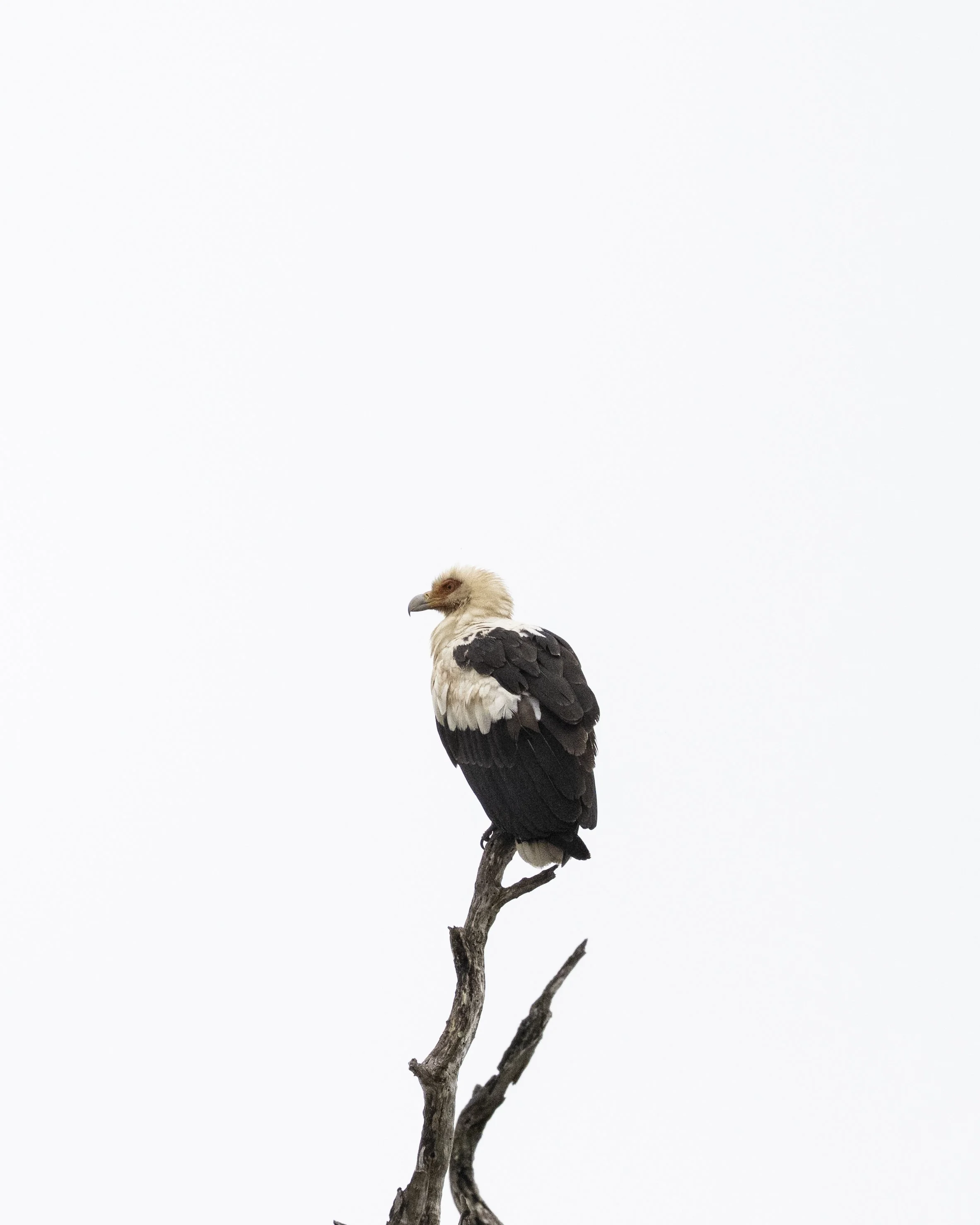 DSC_1545.jpg