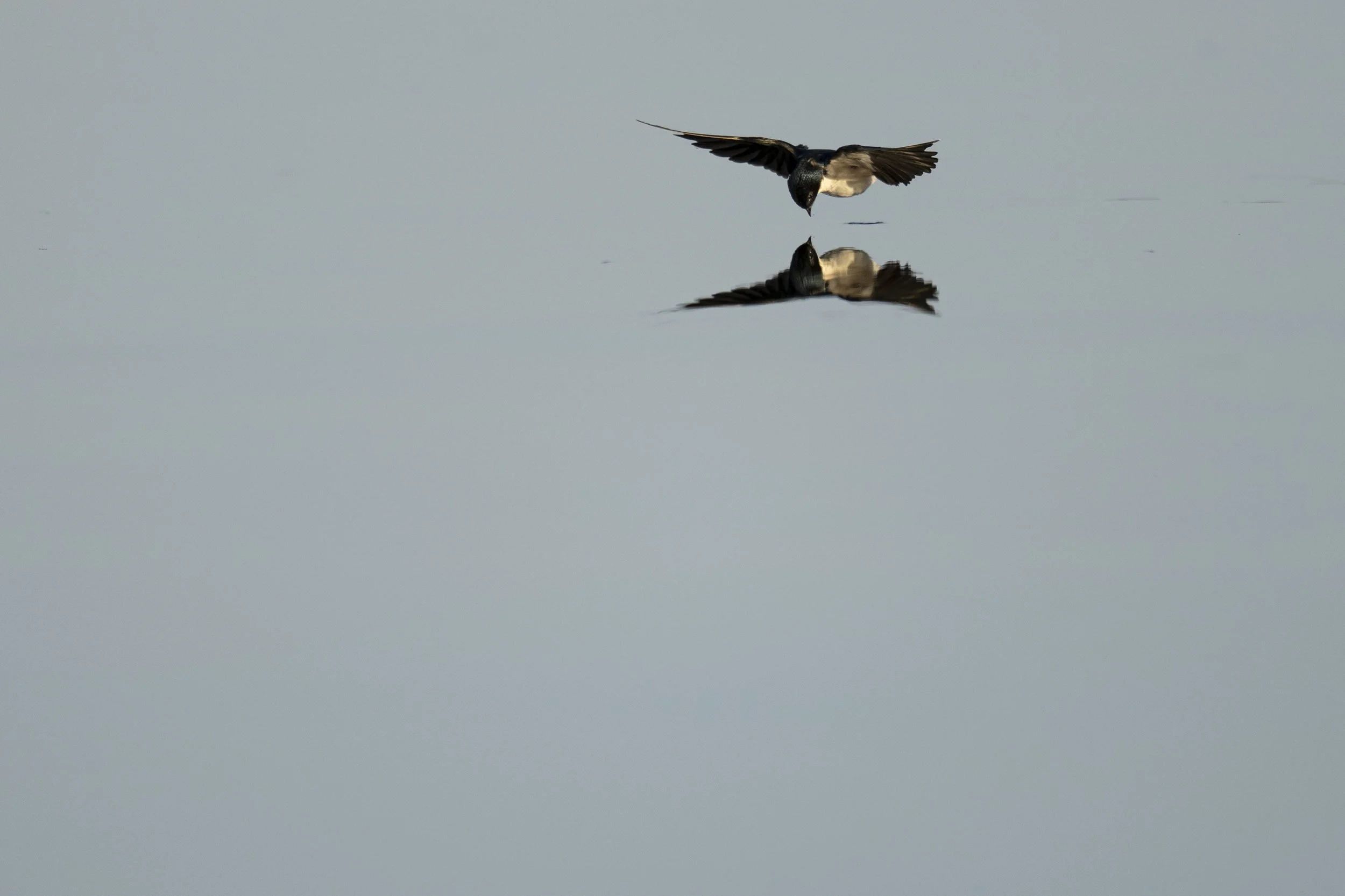DSC_4018.jpg