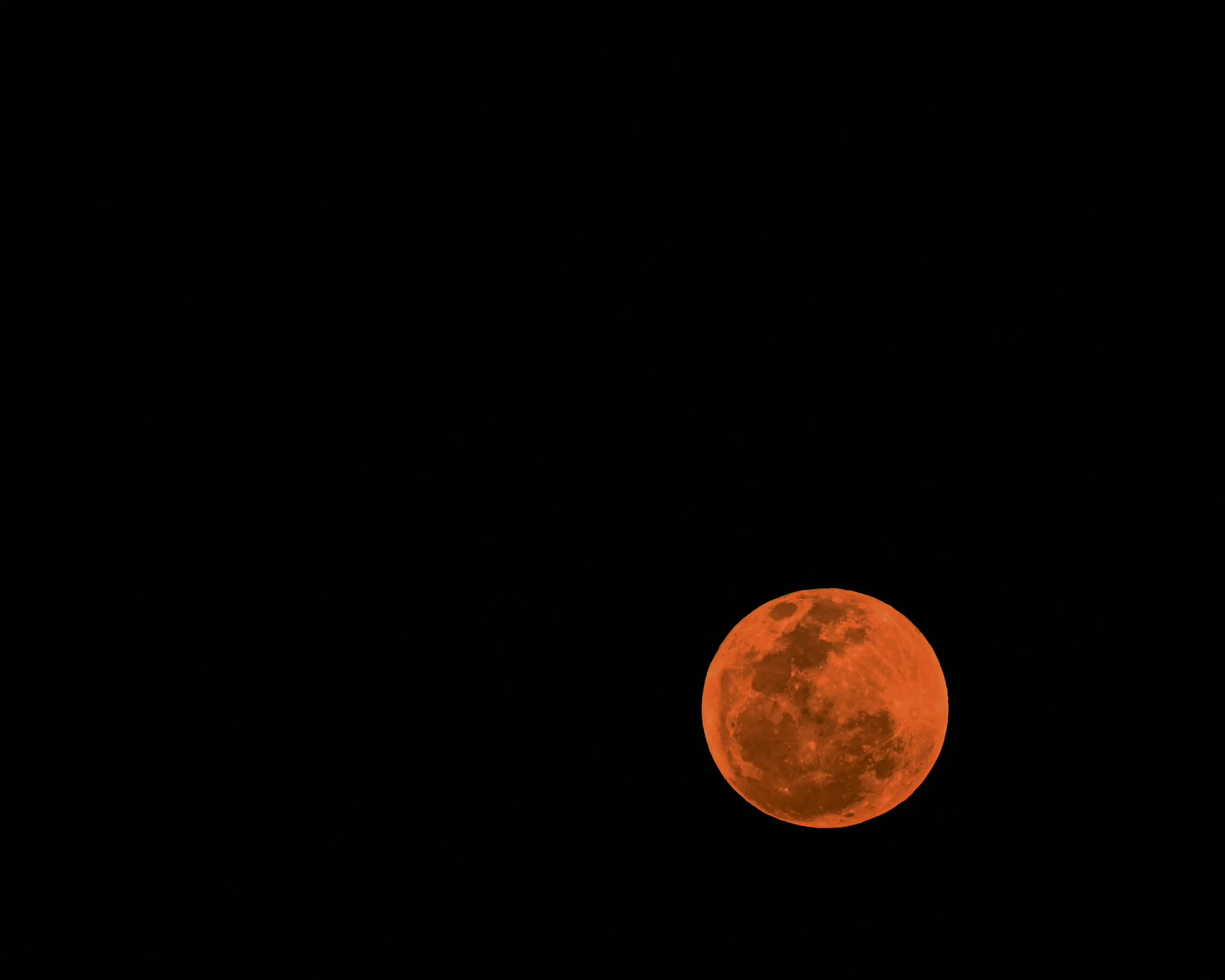 DSC_0591-2.jpg