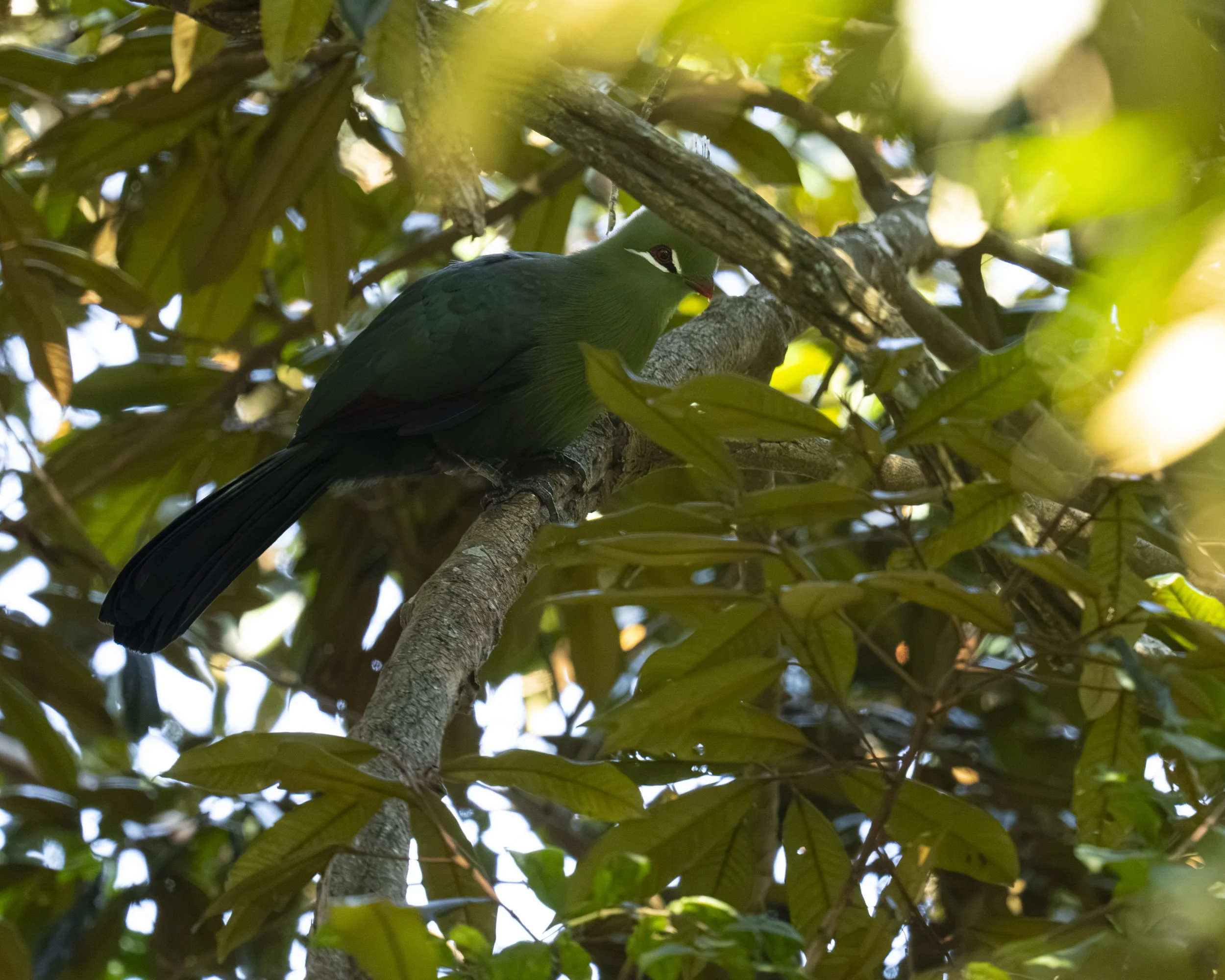 DSC_1803.jpg