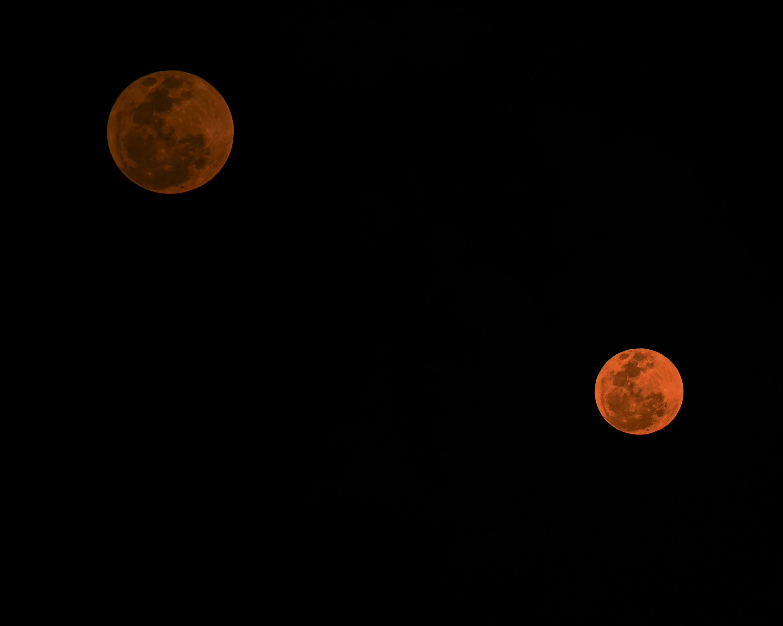 DSC_0591.jpg