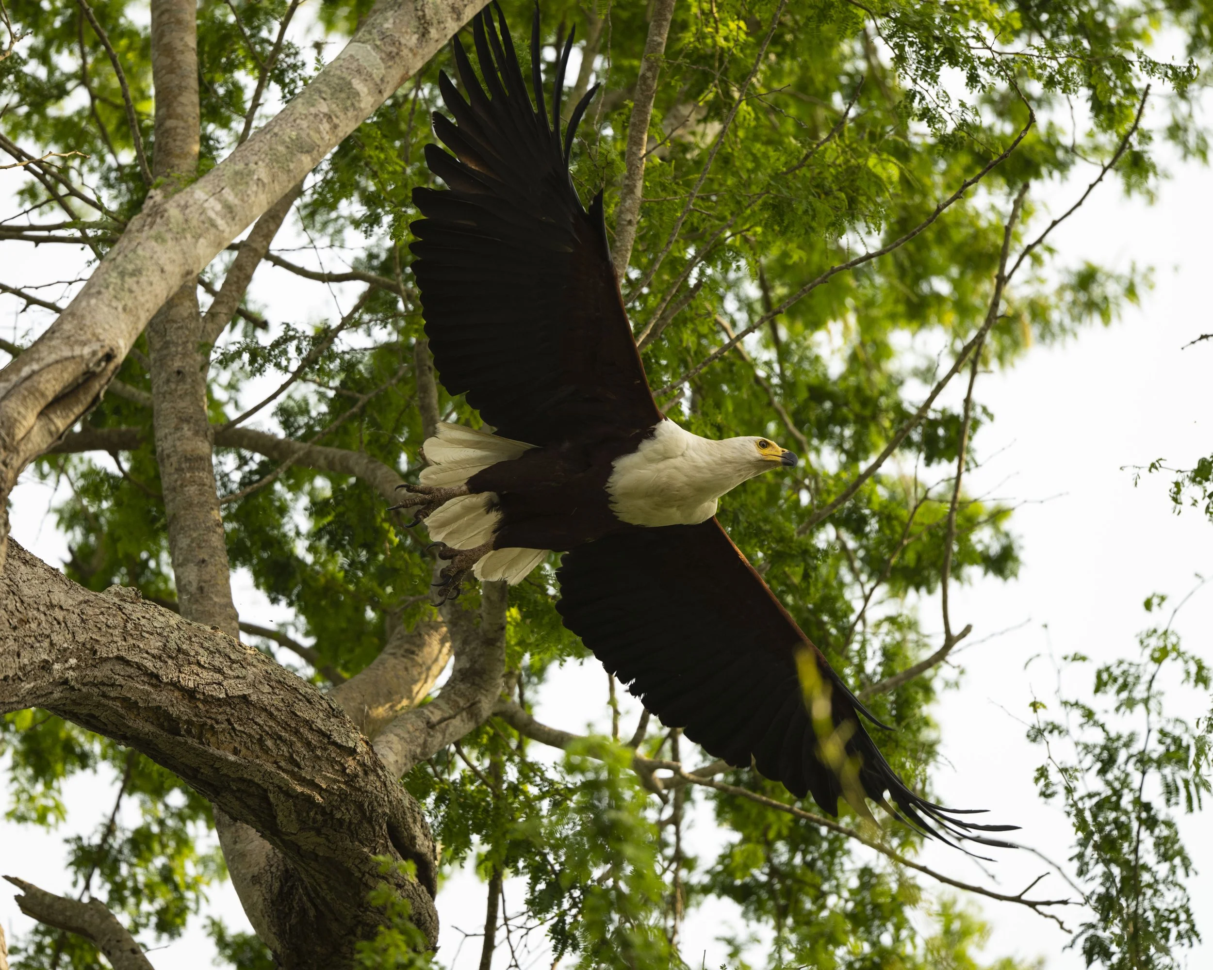 DSC_9945.jpg
