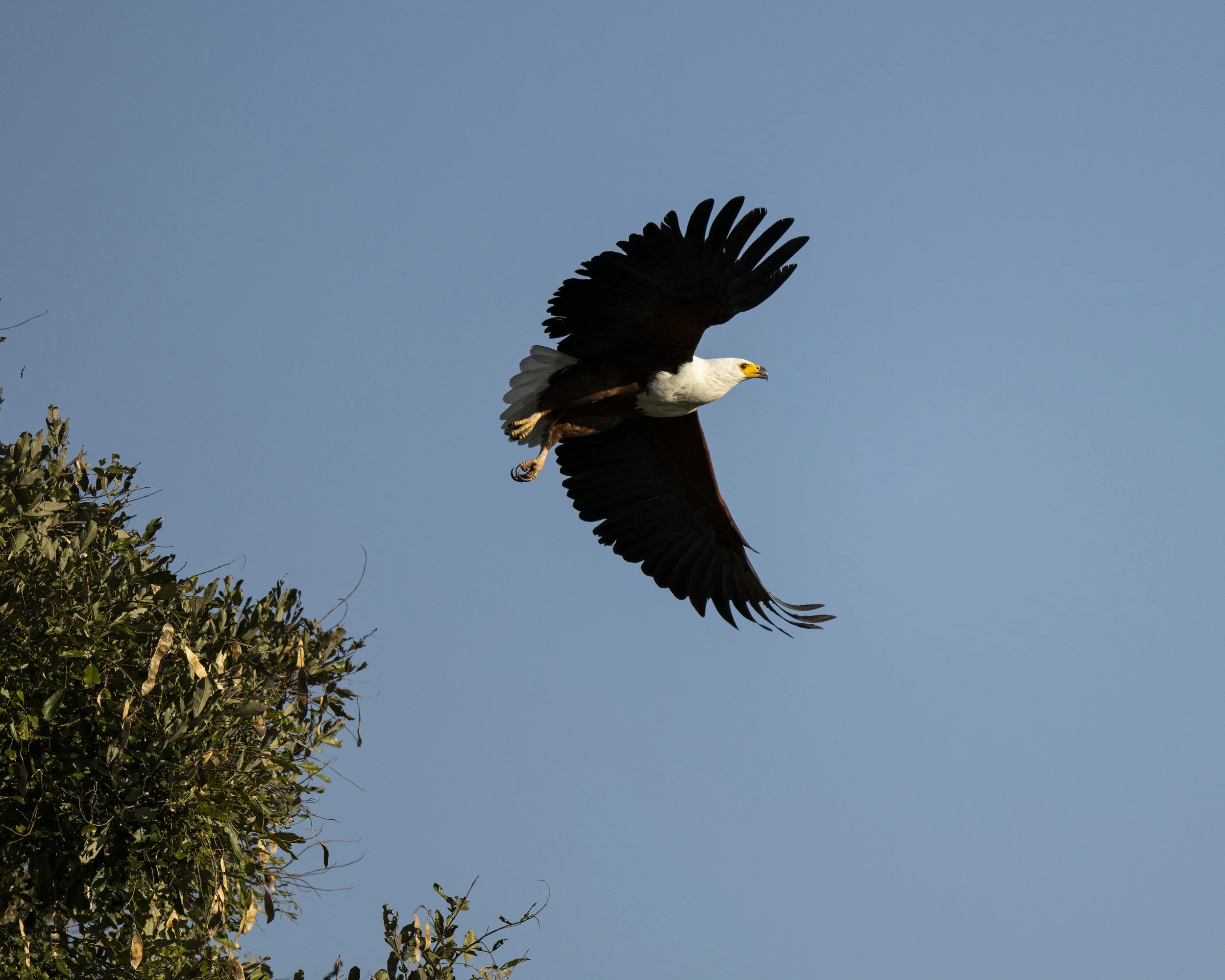 DSC_4371.jpg
