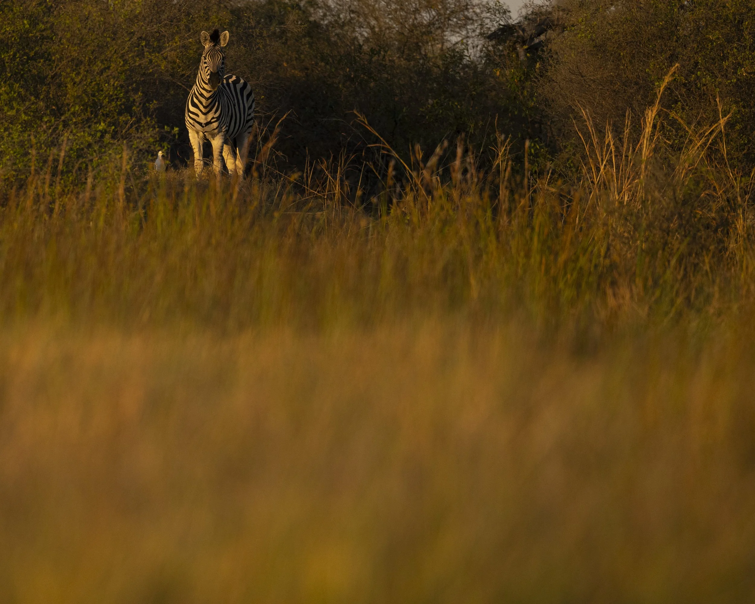 DSC_0712.jpg