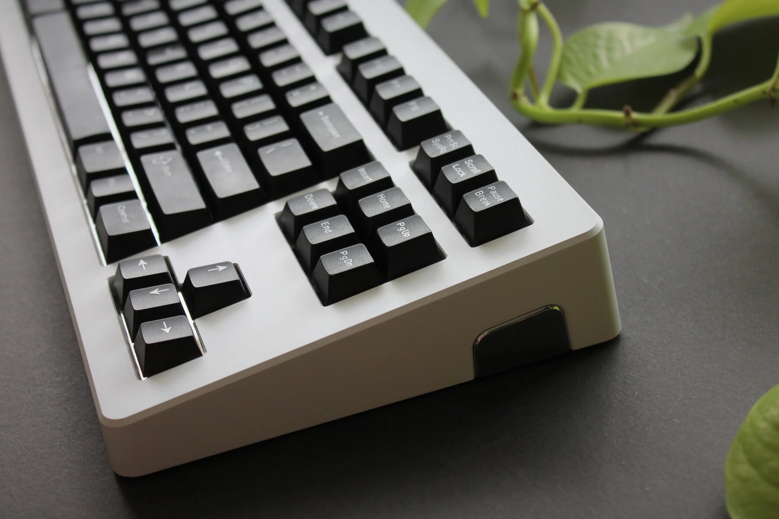 Bunt Haft Fuchs mechanical keyboard vendors Surrey Aktualisierung Sirene