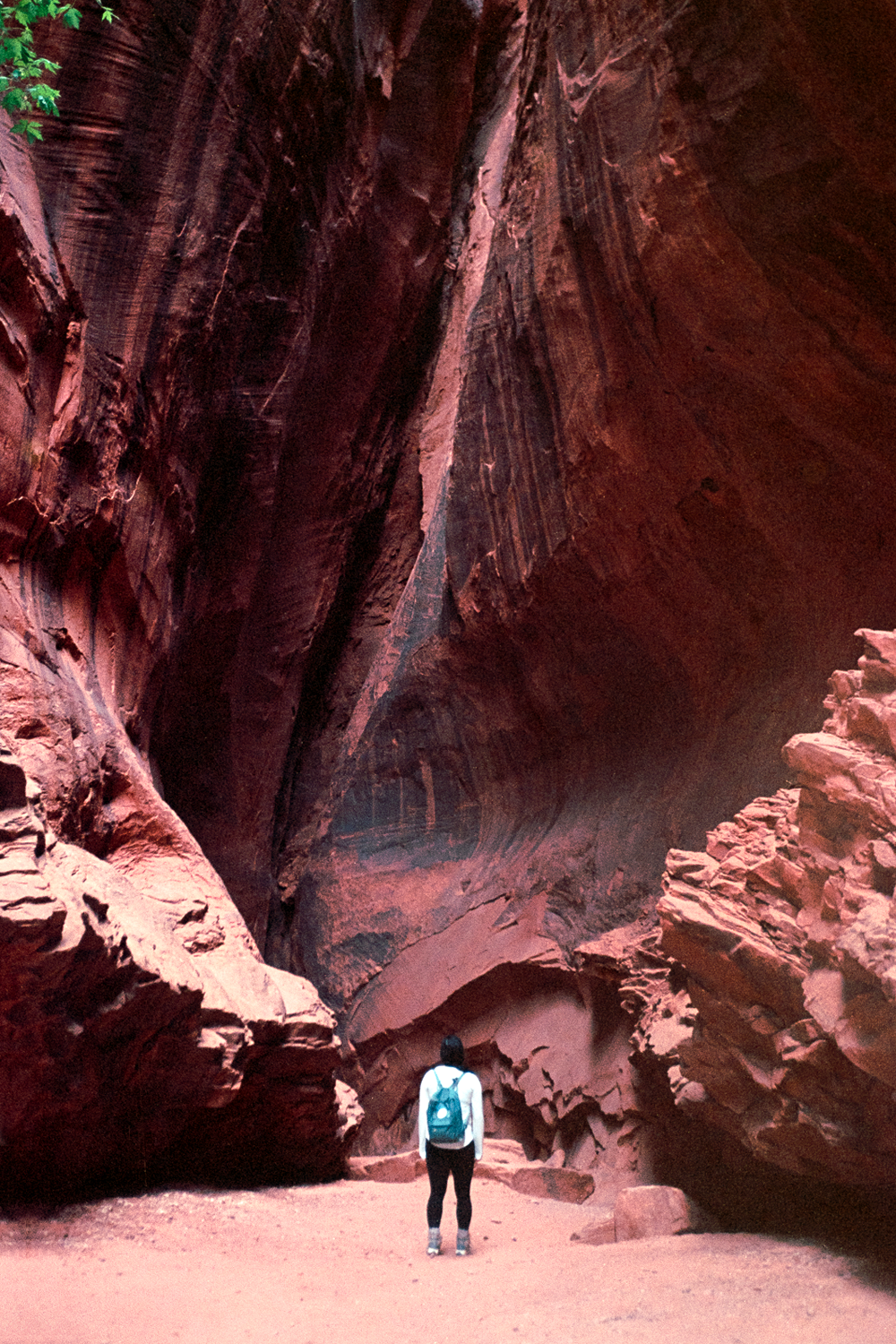 zion_me.png