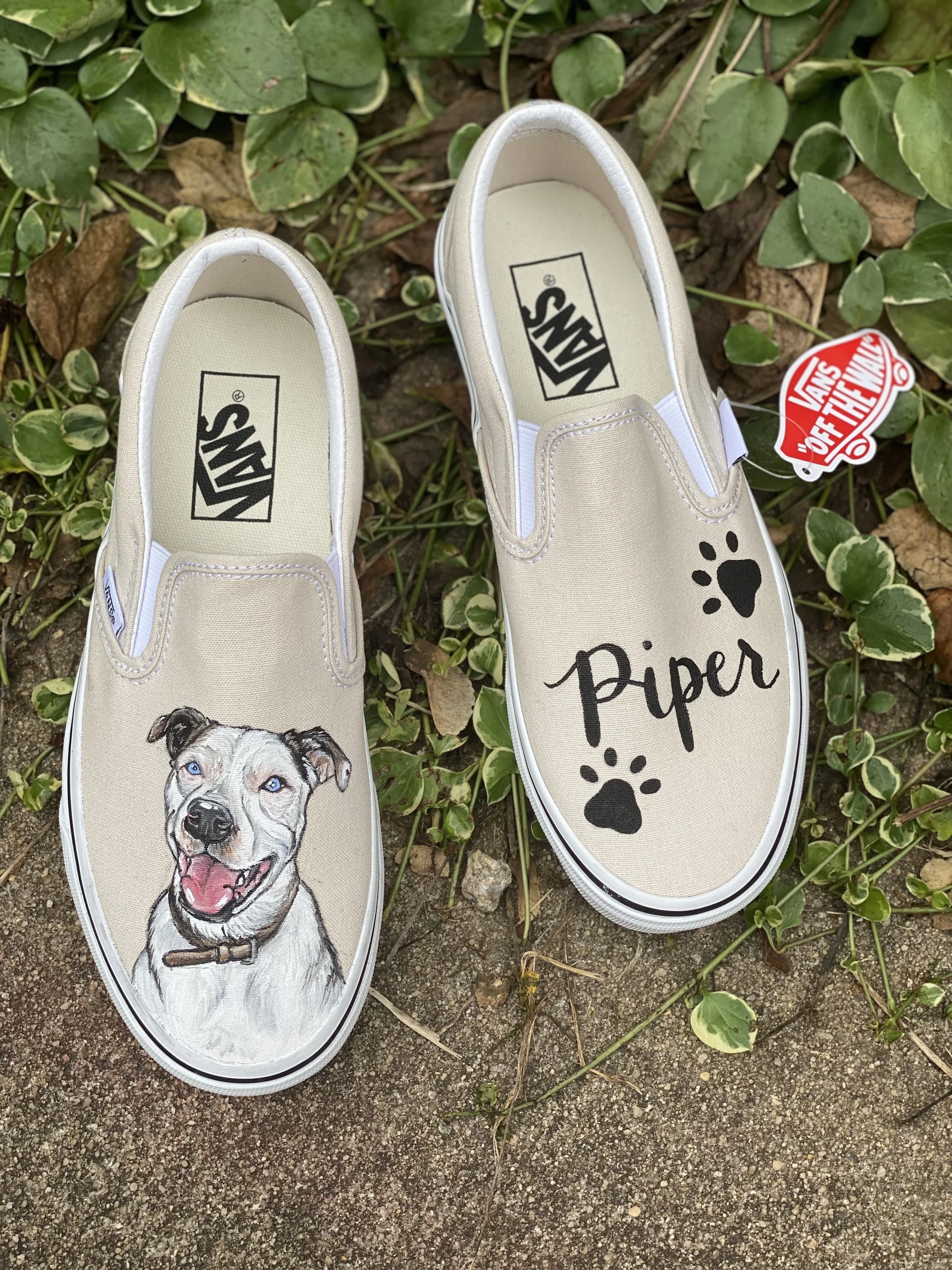 vans pet shoes