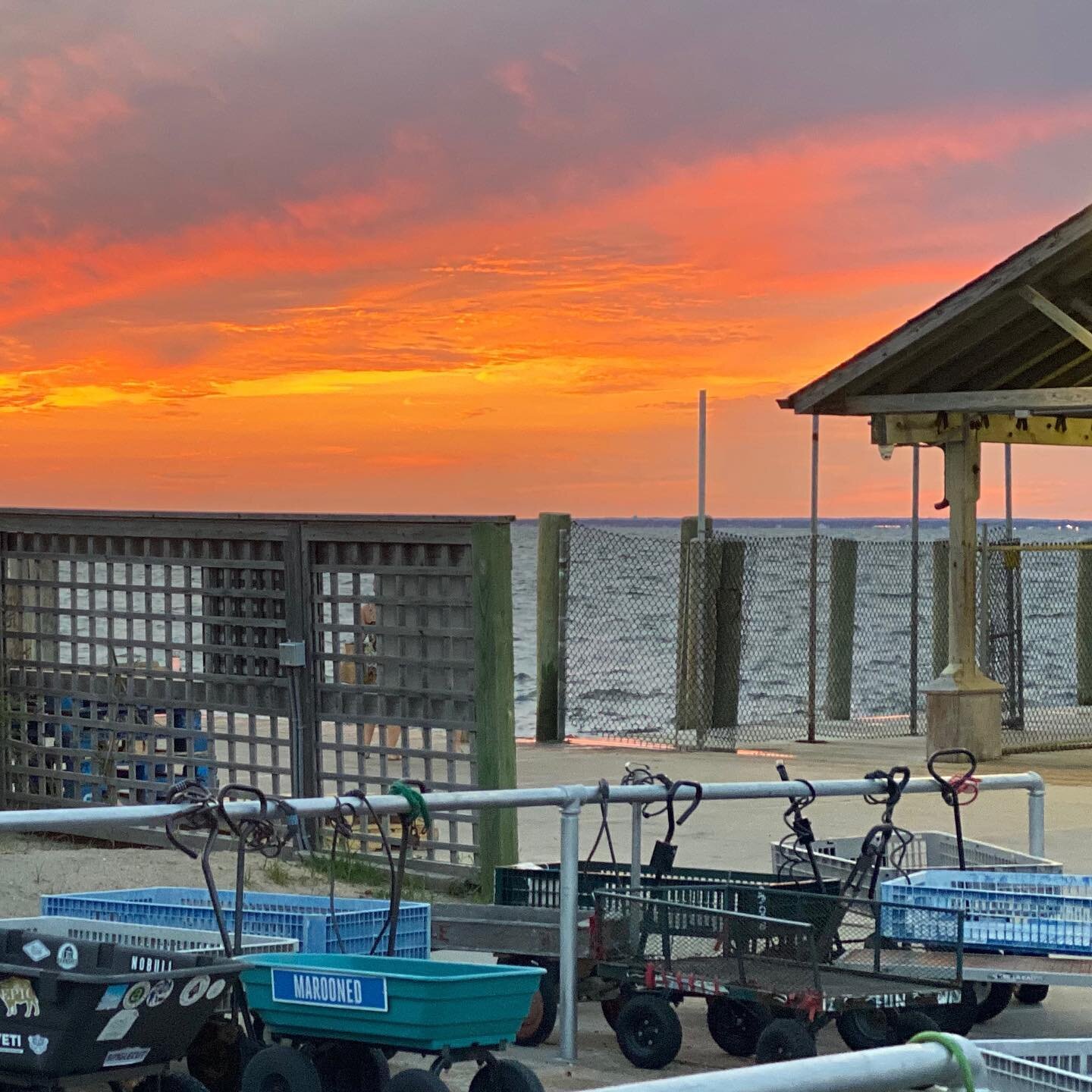 The wagon dock at sunset