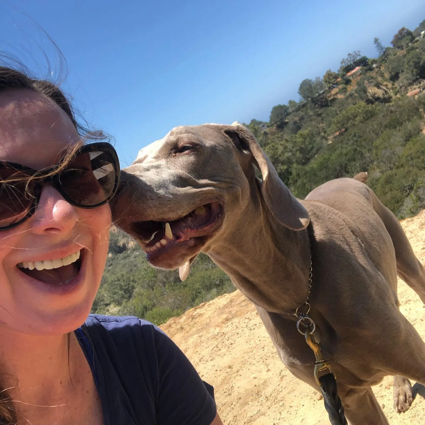 Poppy,  my favorite running partner!