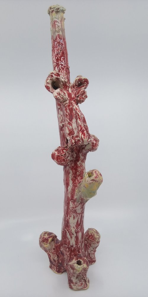 Red Body Tan Penis