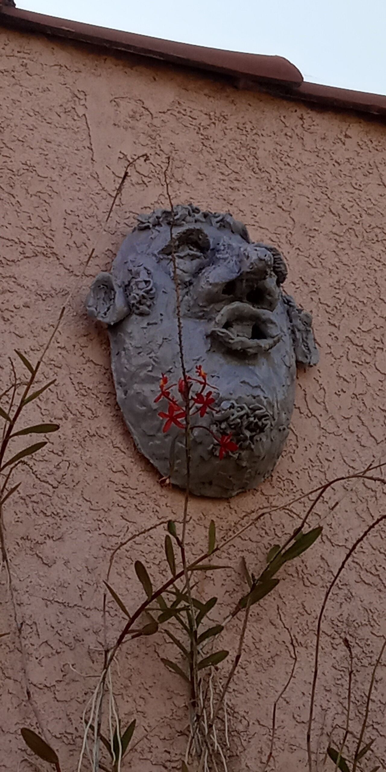 20200802_170852.jpg
