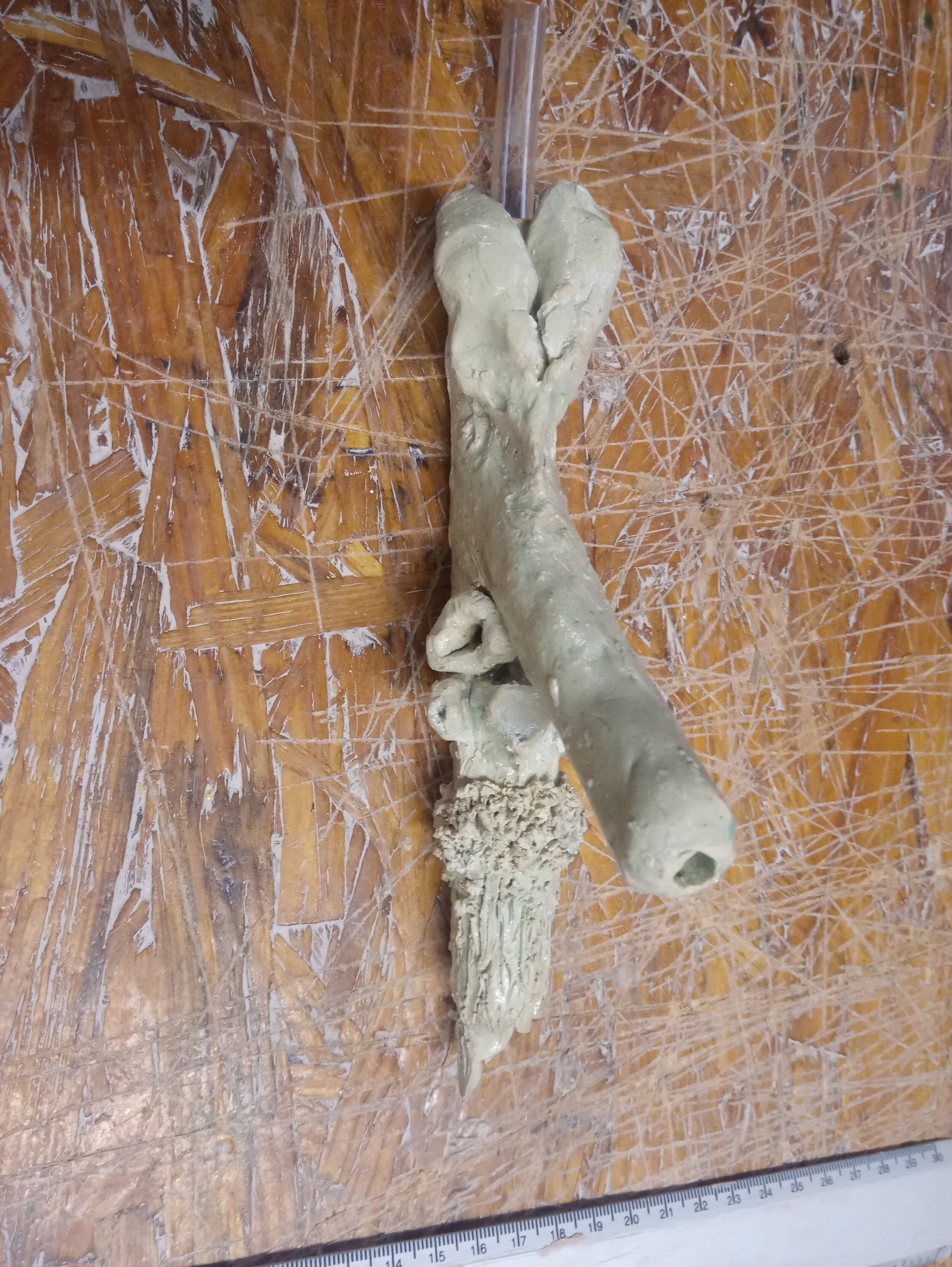 20191001_110546.jpg