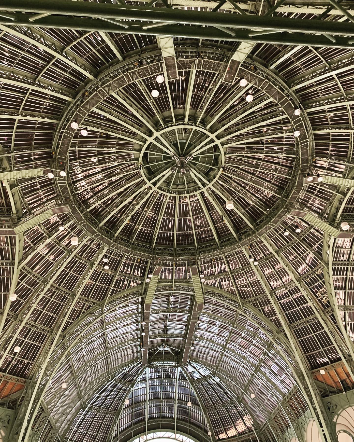 9EE9658C-9E87-4996-9699-2F1D24442000.jpg