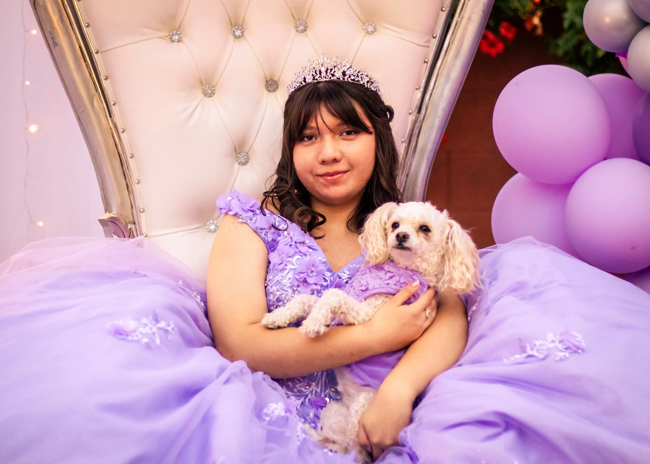 Young woman in a purple dress and tiara sitting on a decorative white and silver throne, holding a small white dog also dressed in purple, with purple balloons surrounding her.