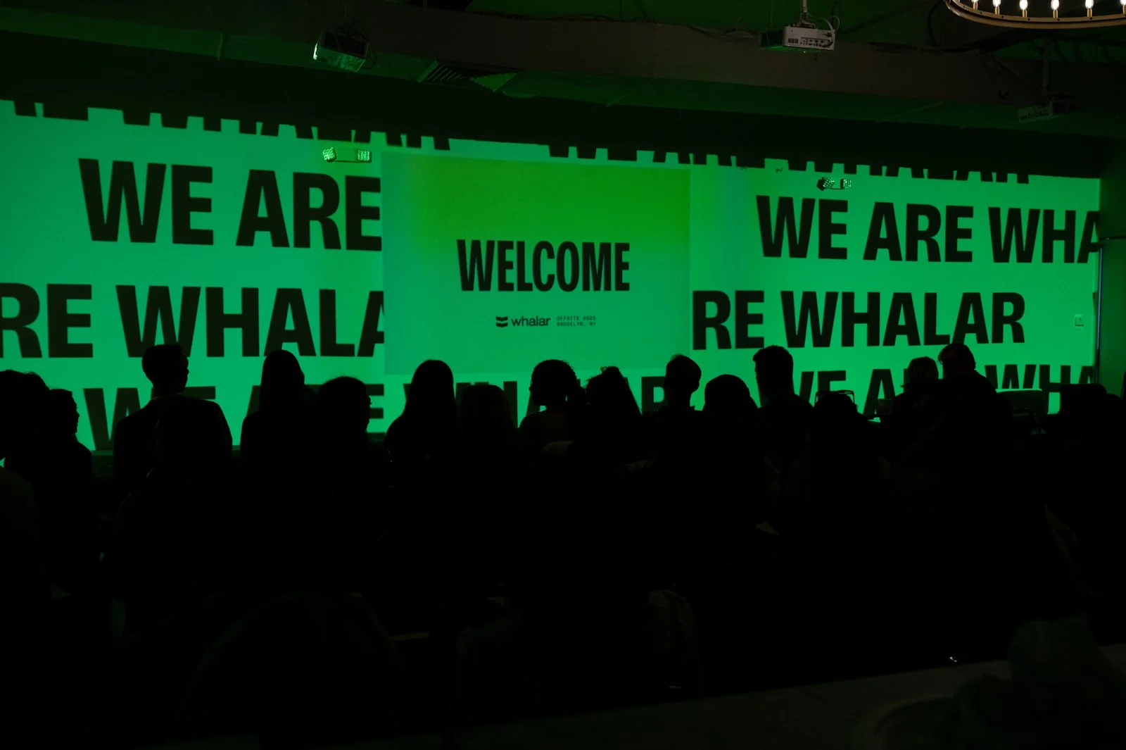 Whalar-022625-0015.jpg
