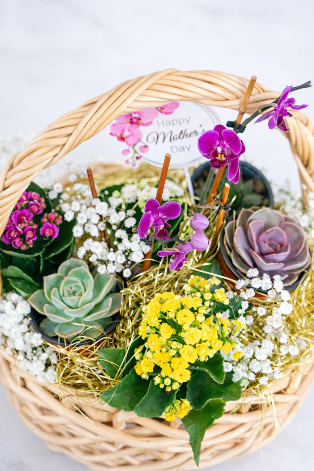 plant basket (1).png