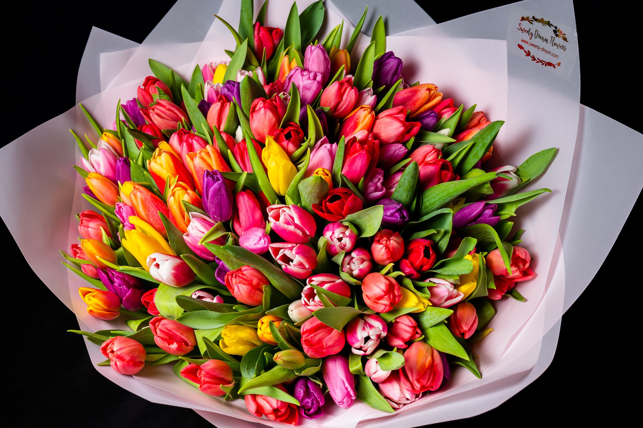 Mix Tulips