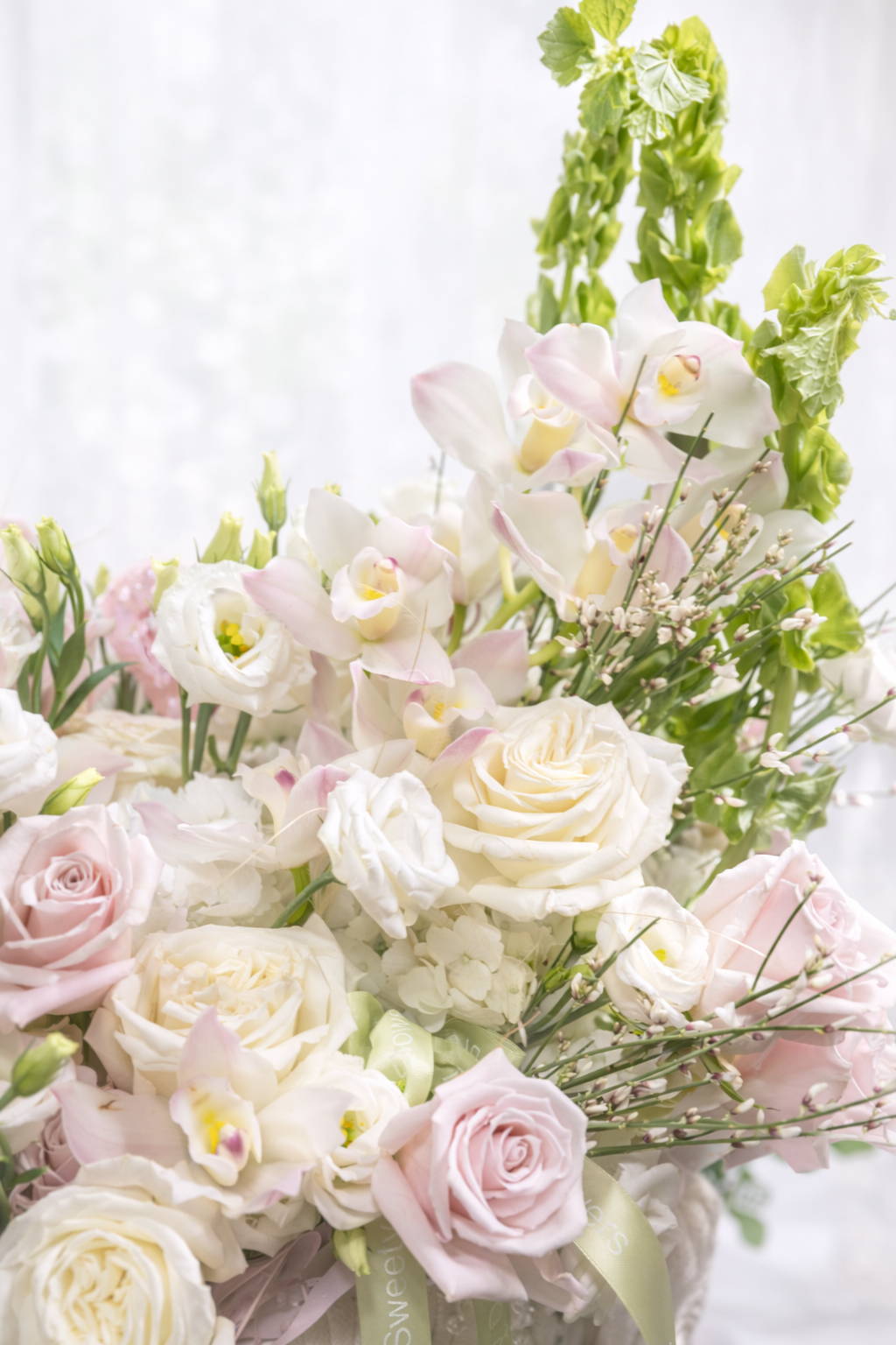 blushflowers (2).png