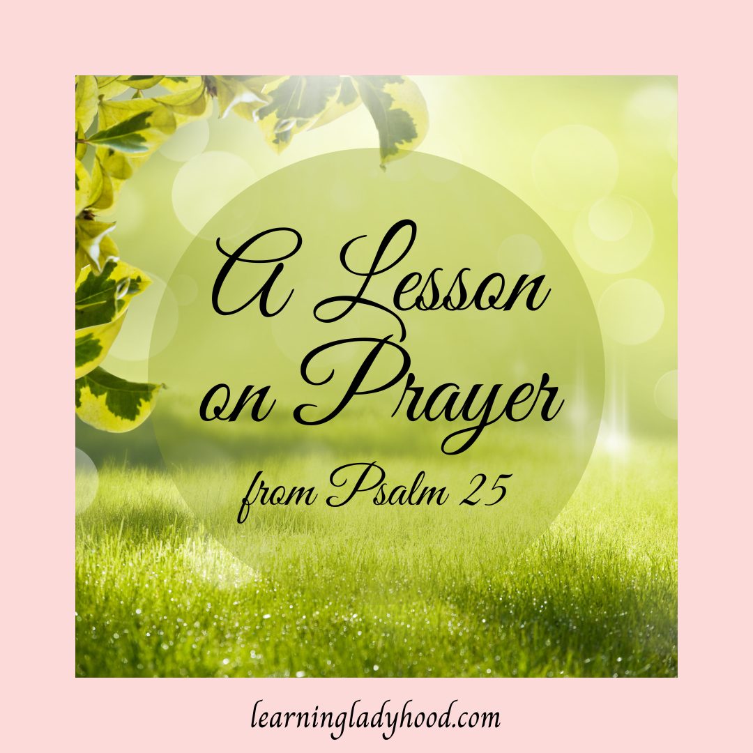 A Lesson on Prayer from Psalm 25