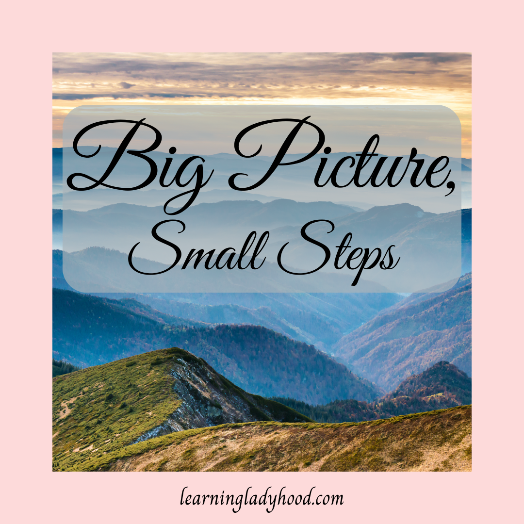 Big Picture, Small Steps