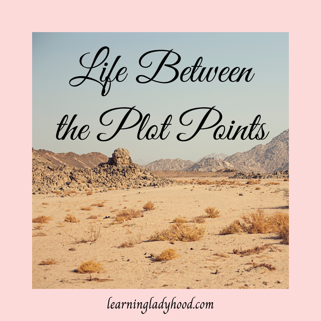 Life Between the Plot Points