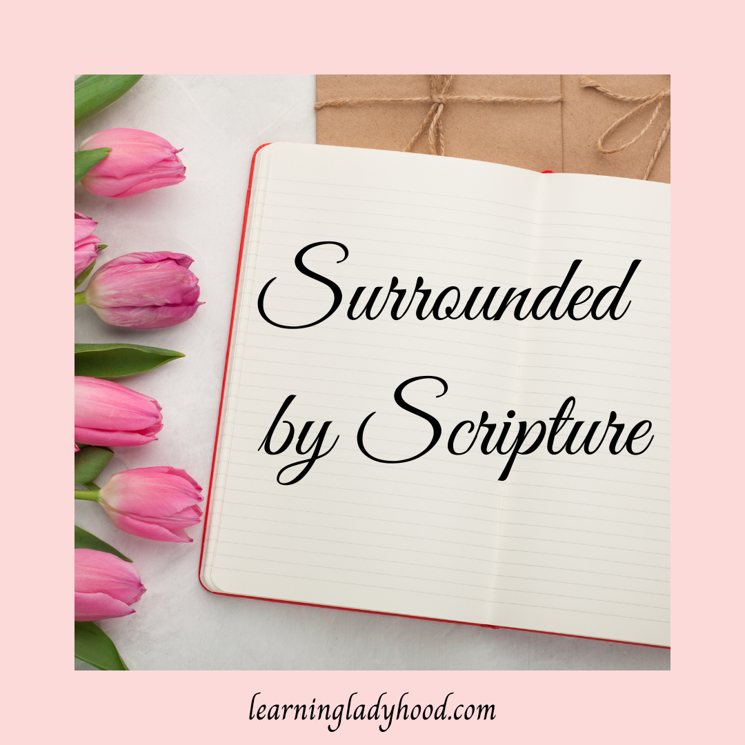 Surrounded by Scripture