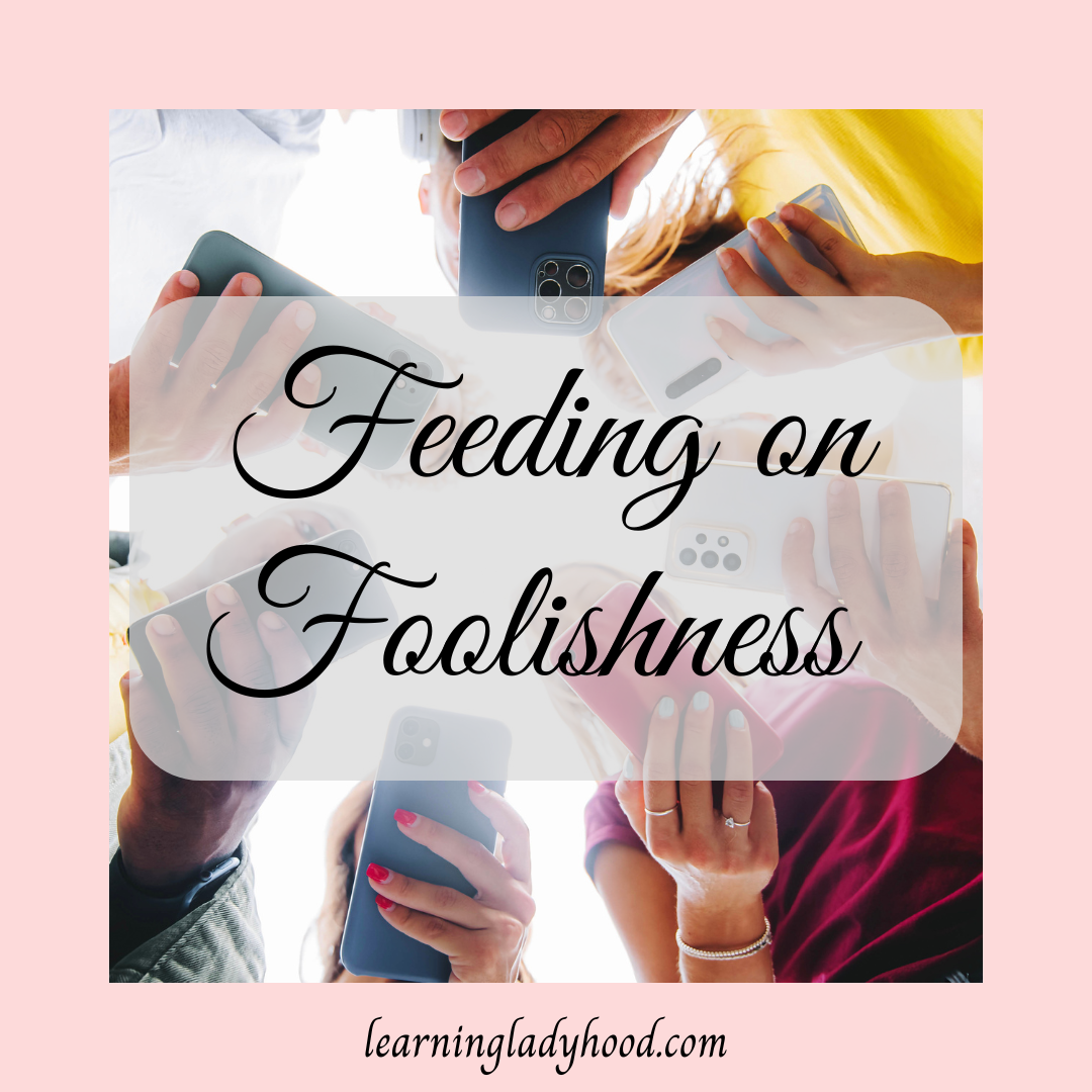 Feeding on Foolishness